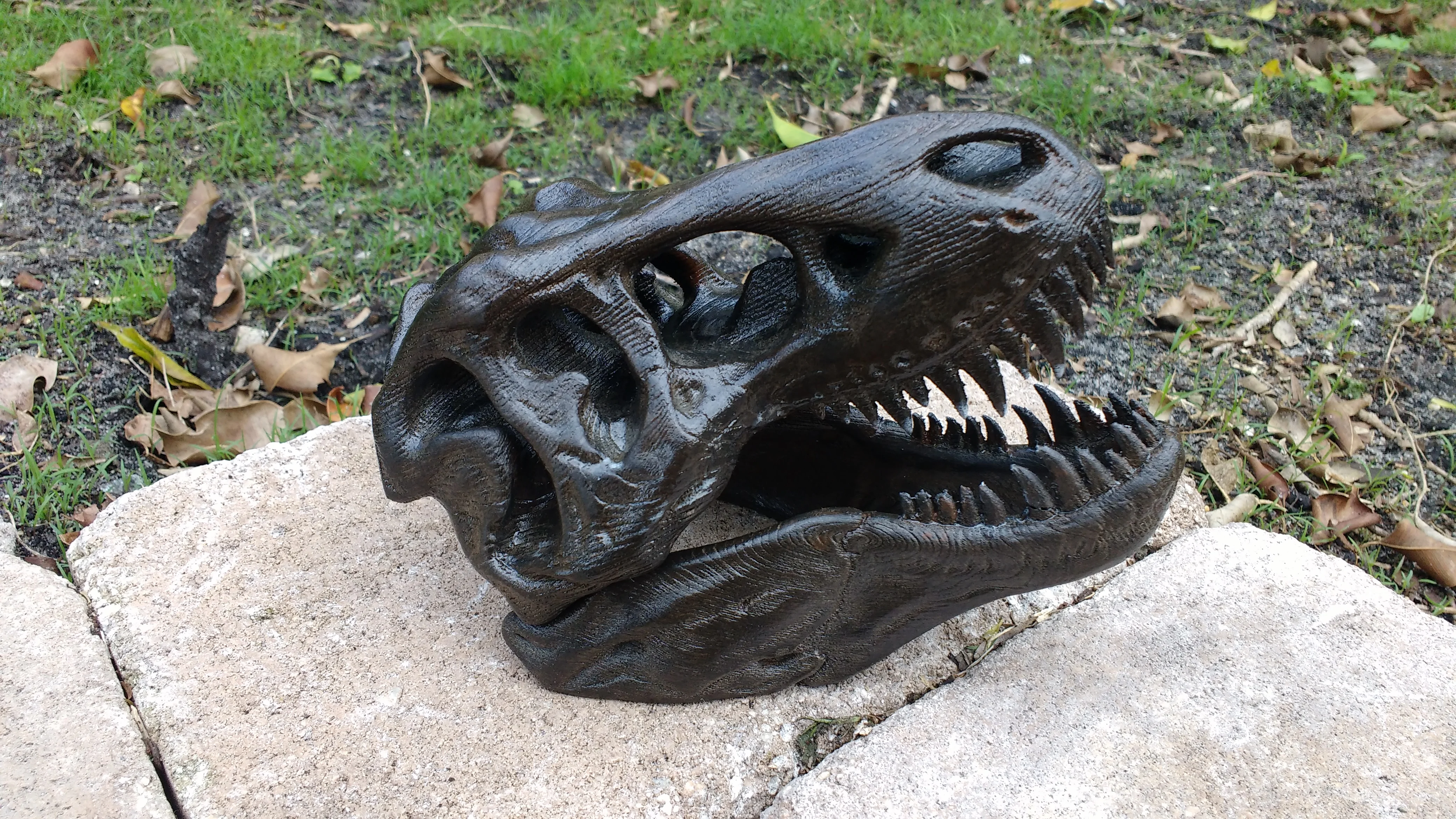 T-Rex Skull Wood Grain