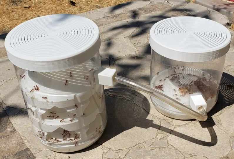 Modular Ant Farm