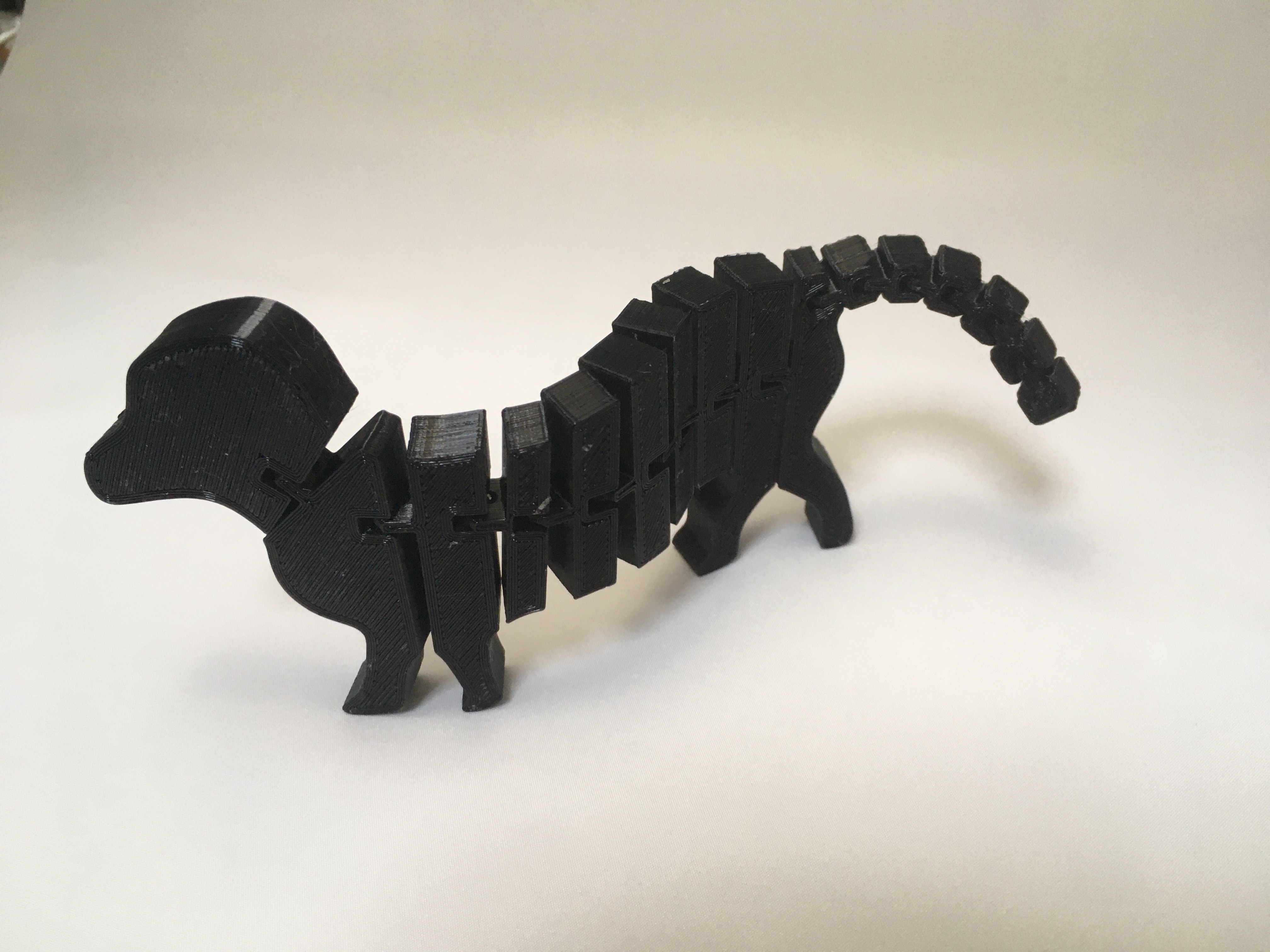 Flexi Dachshund