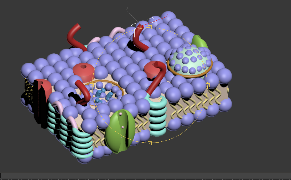cell membrane
