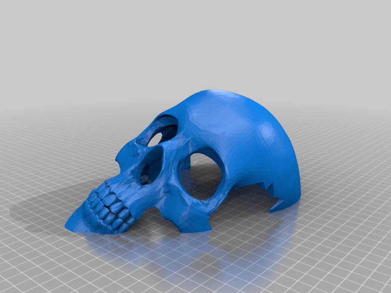 Reptile or trantula skull shaped hide