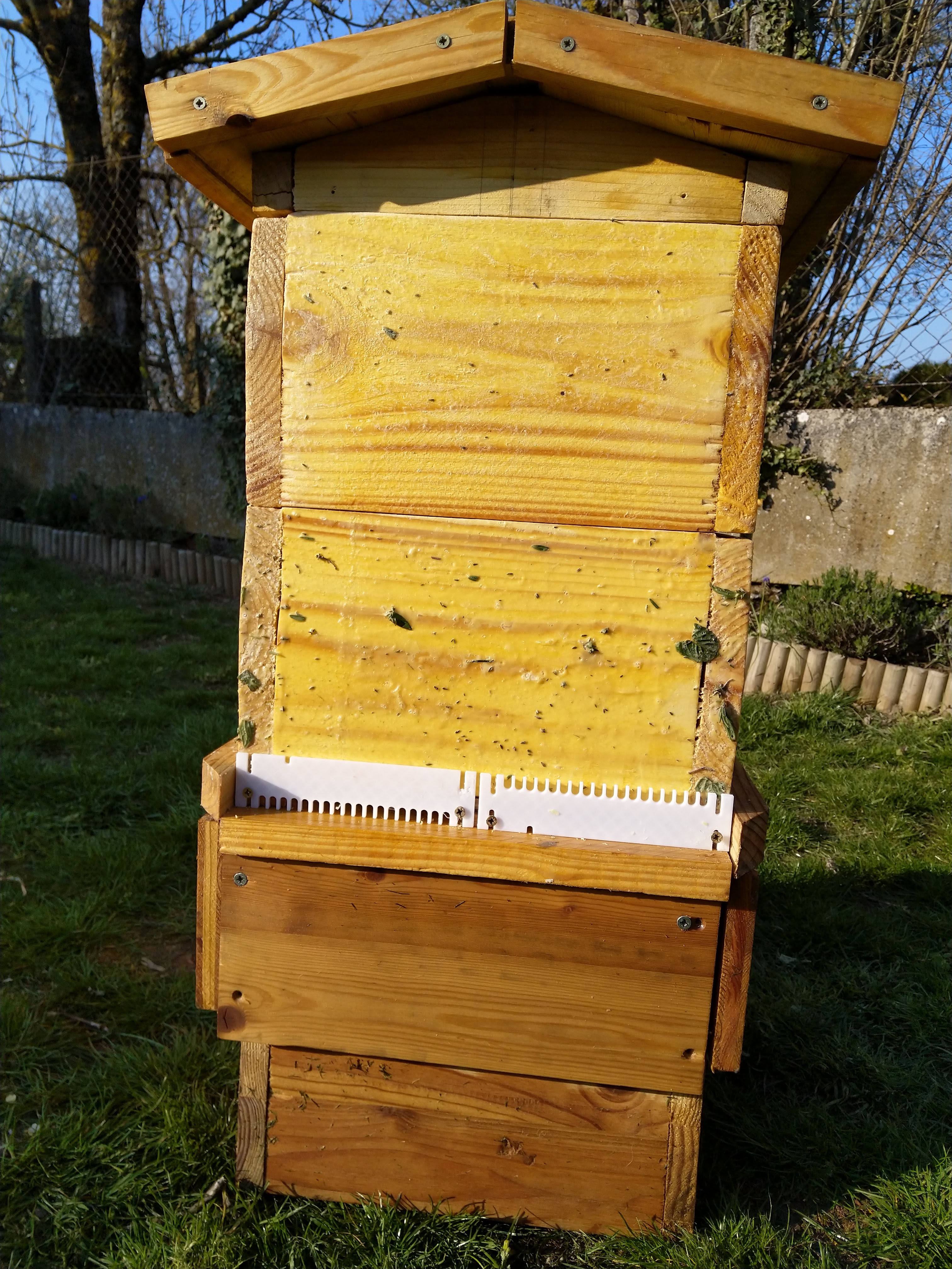 Porte de ruche warre / Bee hive entrance