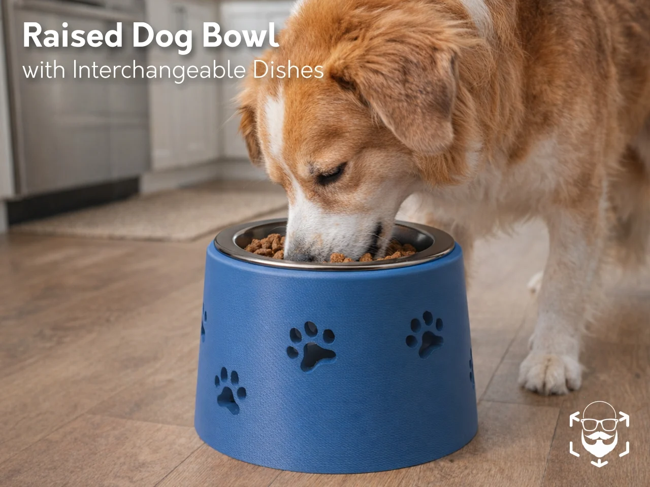 Raised Dog Bowl with Interchangeable Dishes