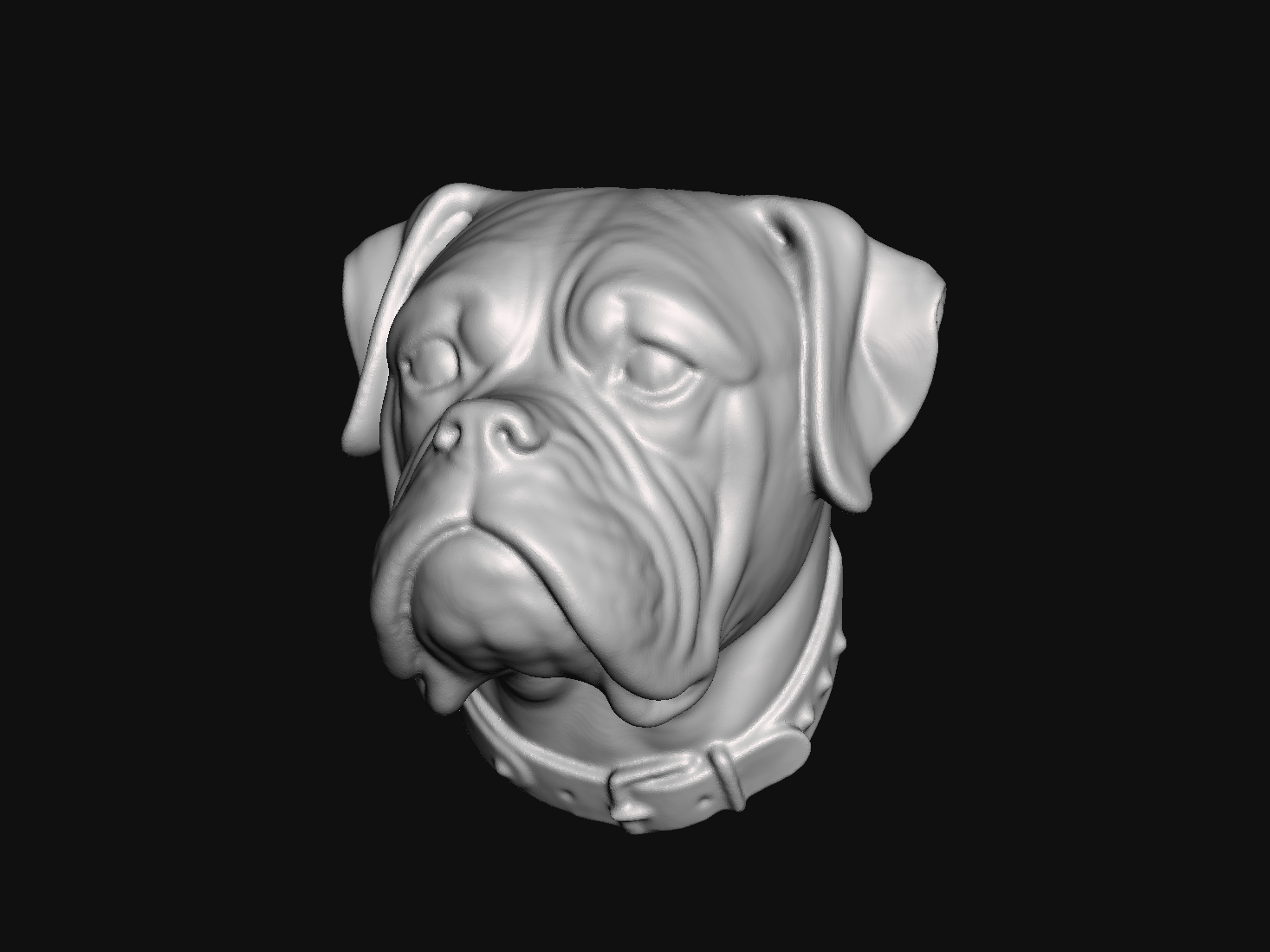 Boxer