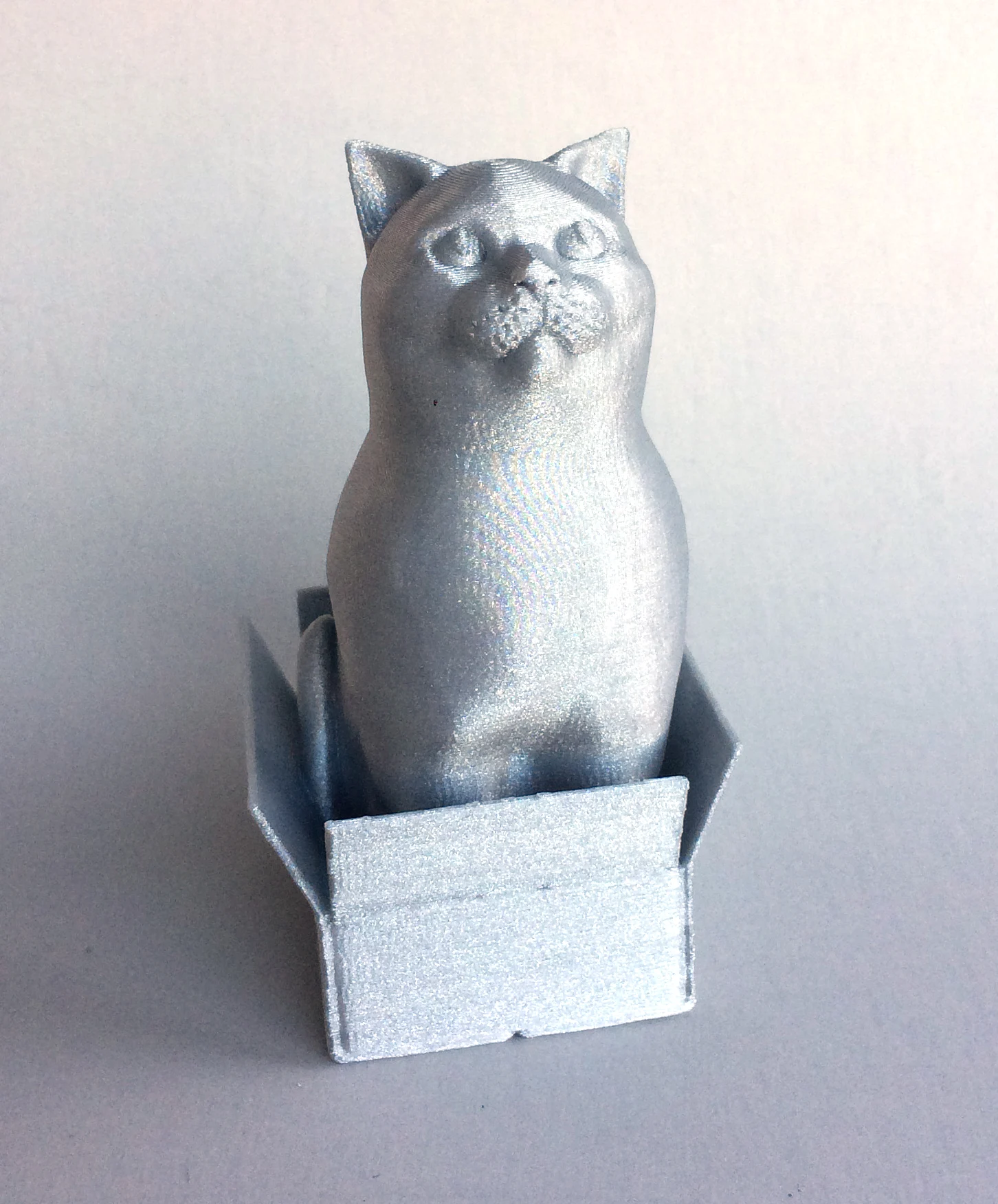 Schrodinky: British Shorthair Cat Sitting In A Box(single extrusion version)