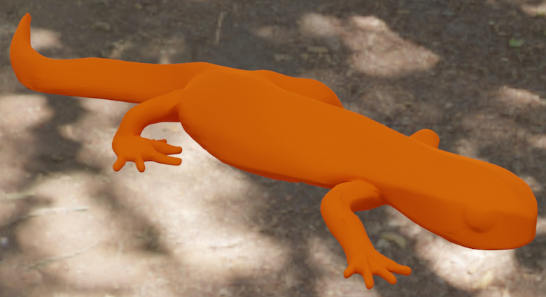 Newt