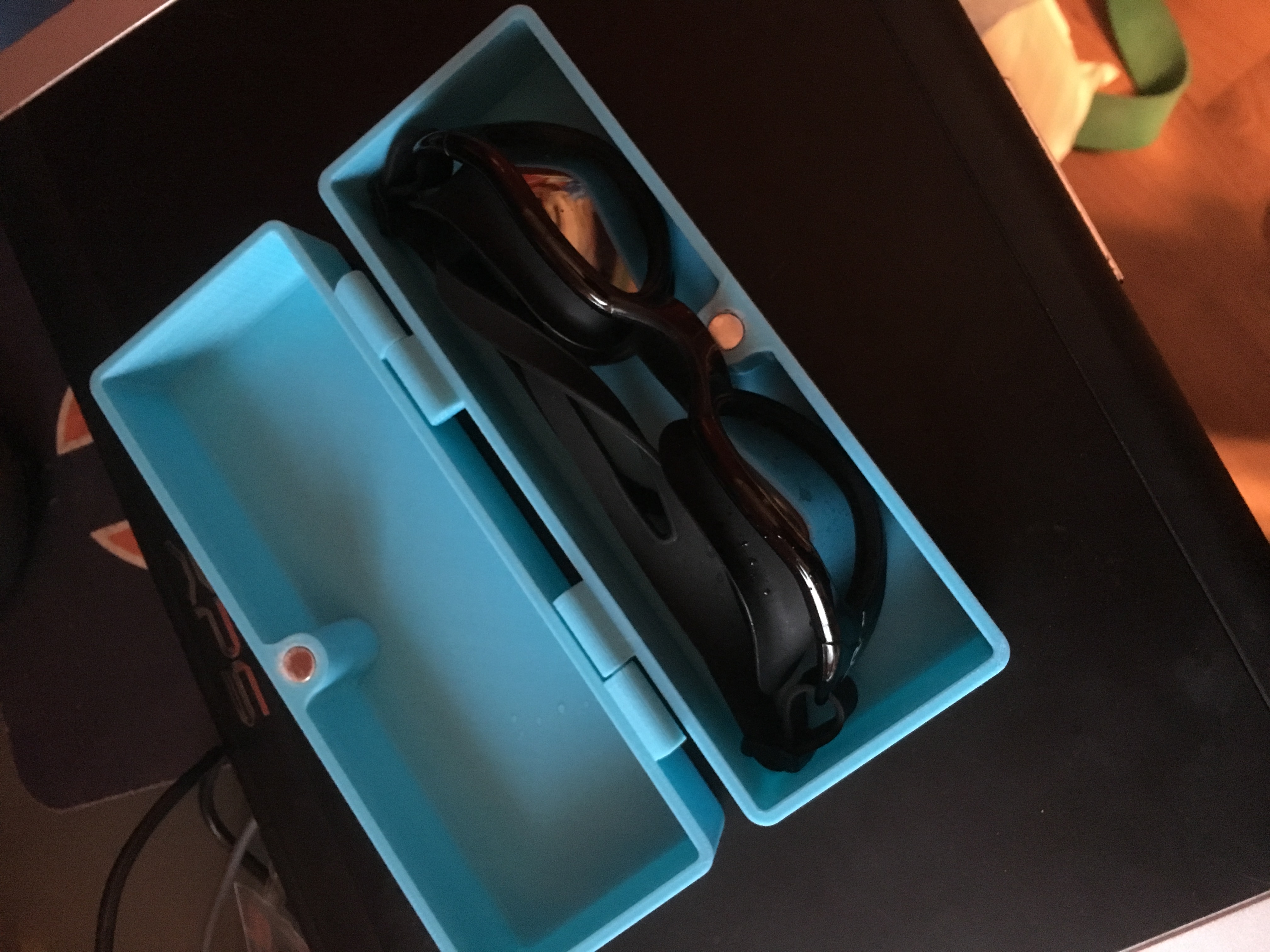 Goggles Case
