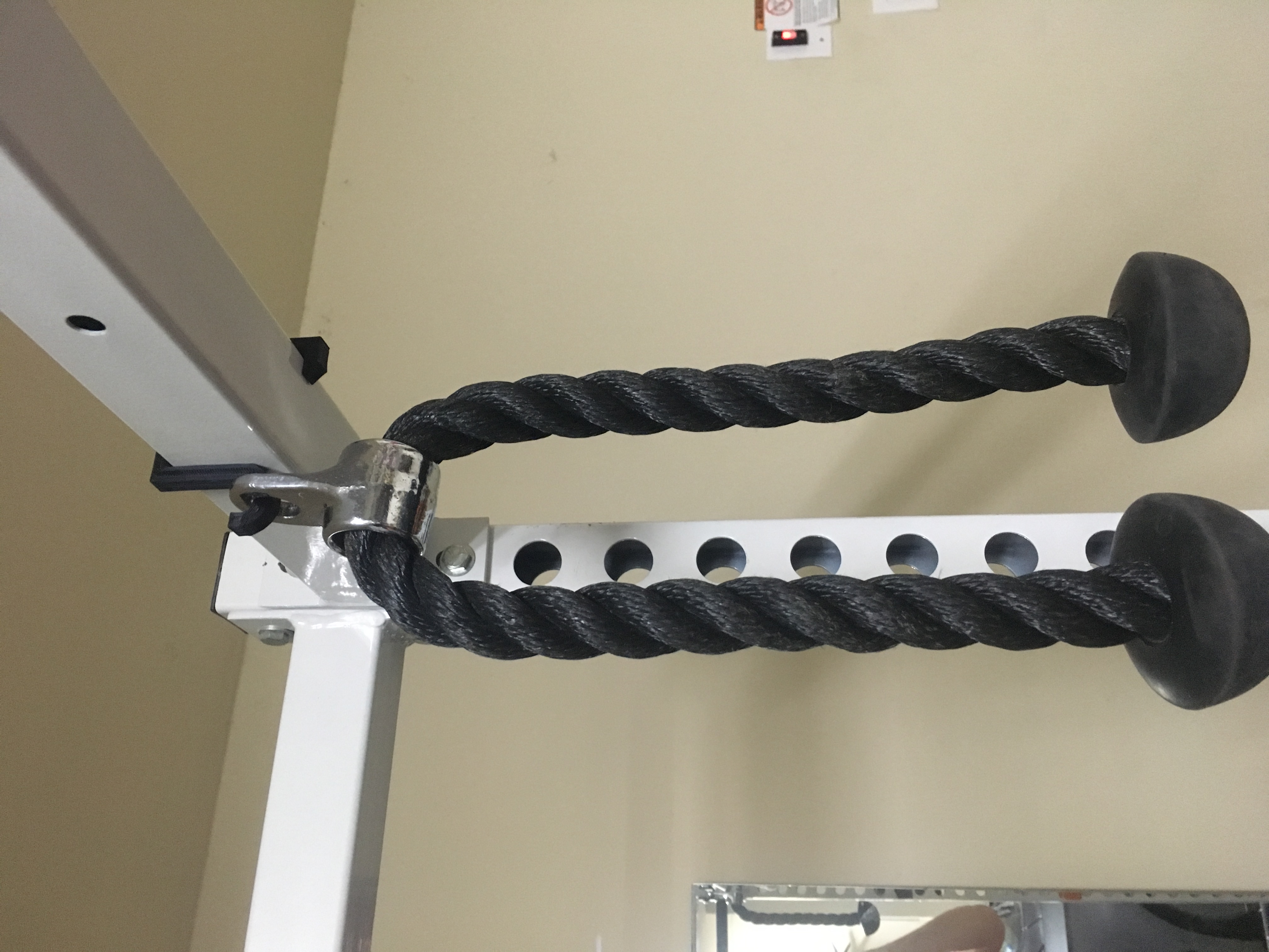 Hook for workout rack