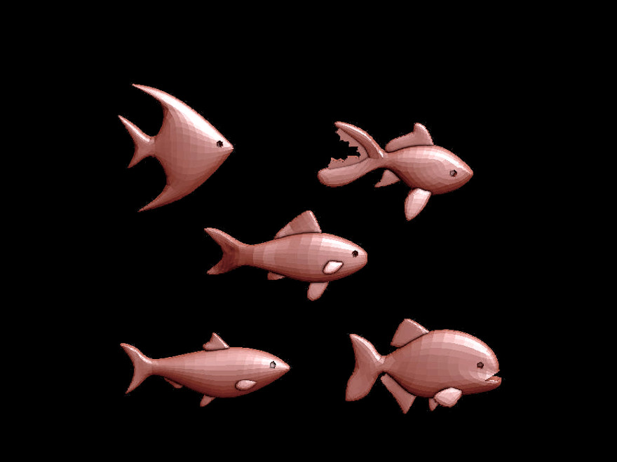 Fish