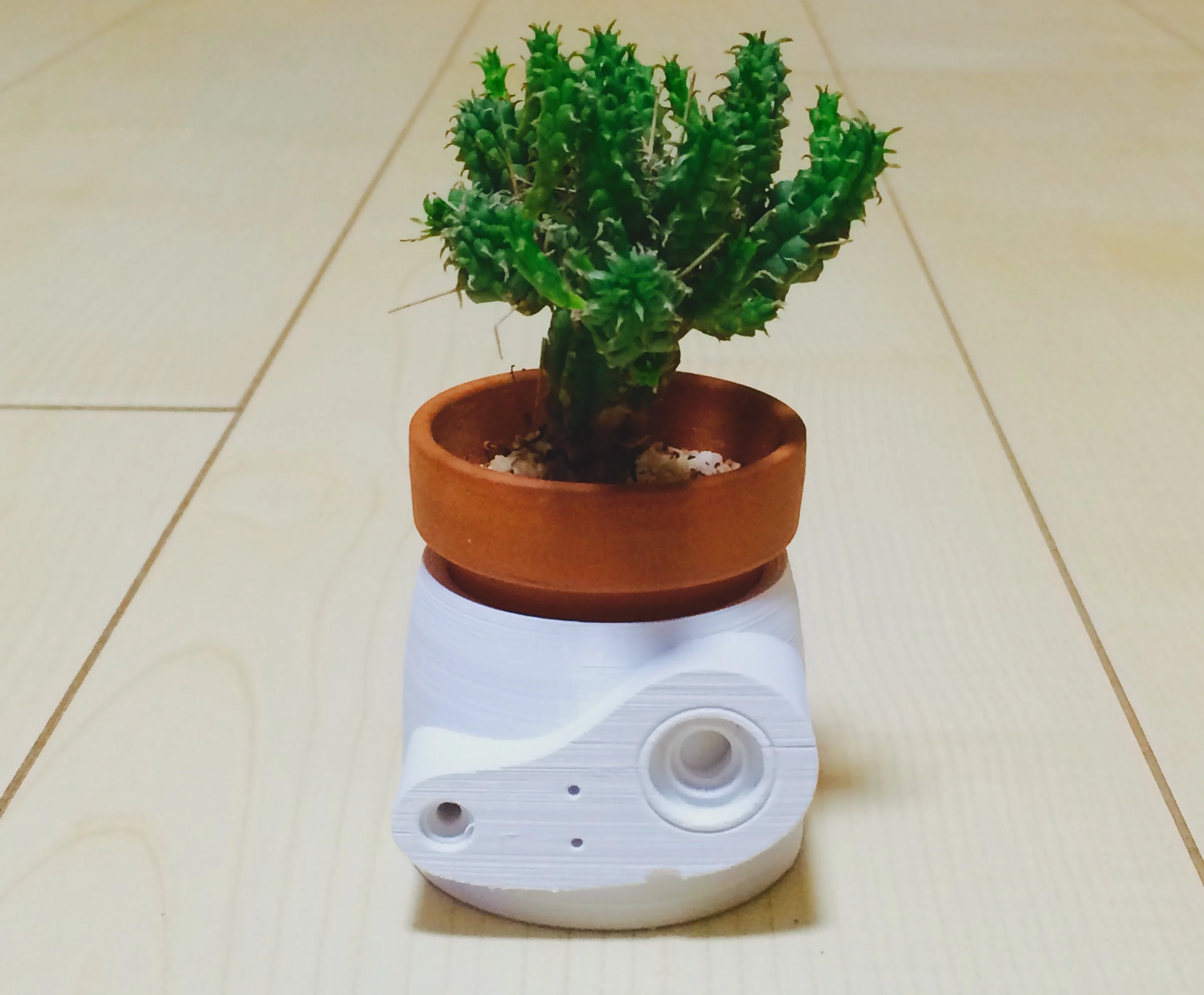 Laputa Robot Pot