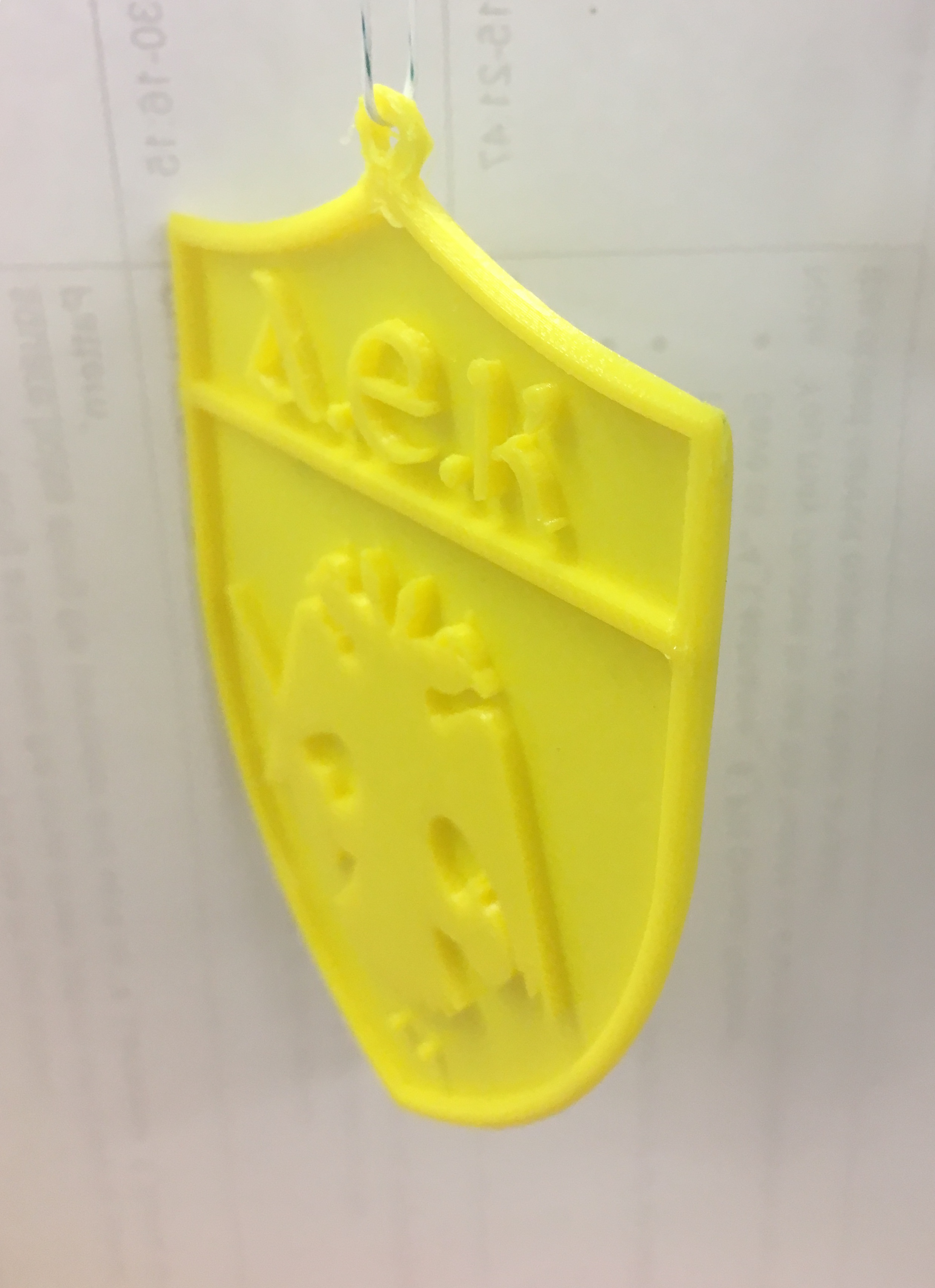 AEK Keychain