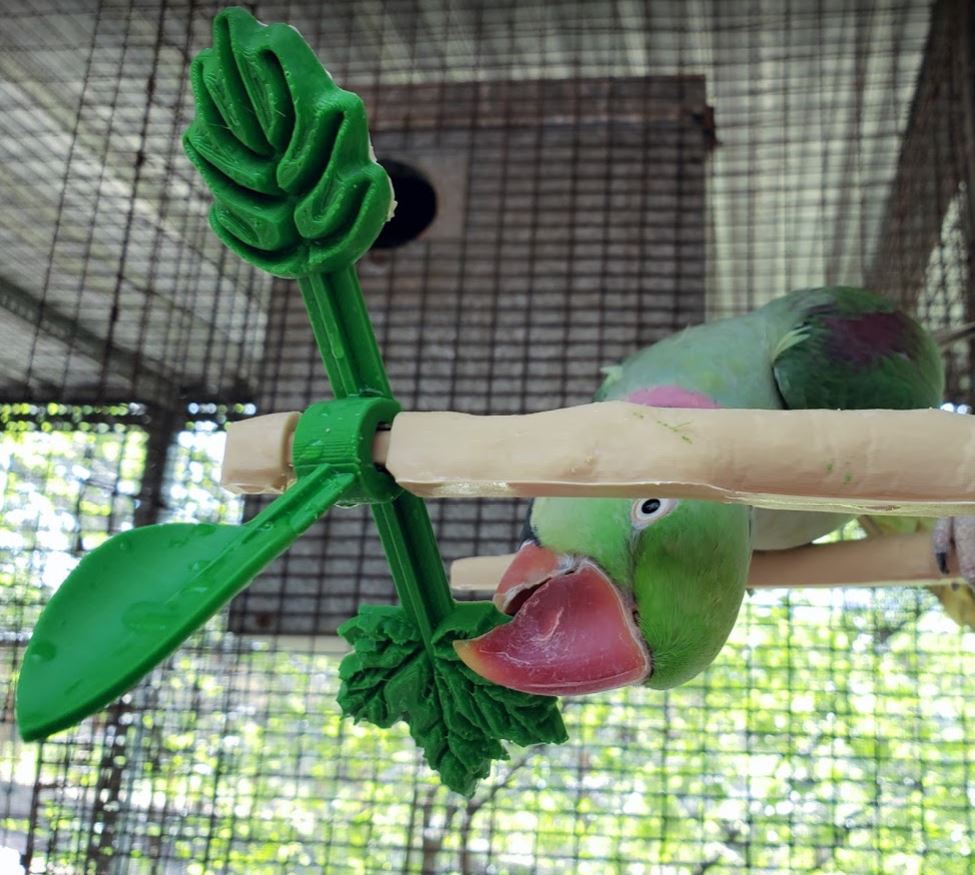 Naturalistic wood branch bird perch with spinner toy, clip in for welded wire mesh in inches