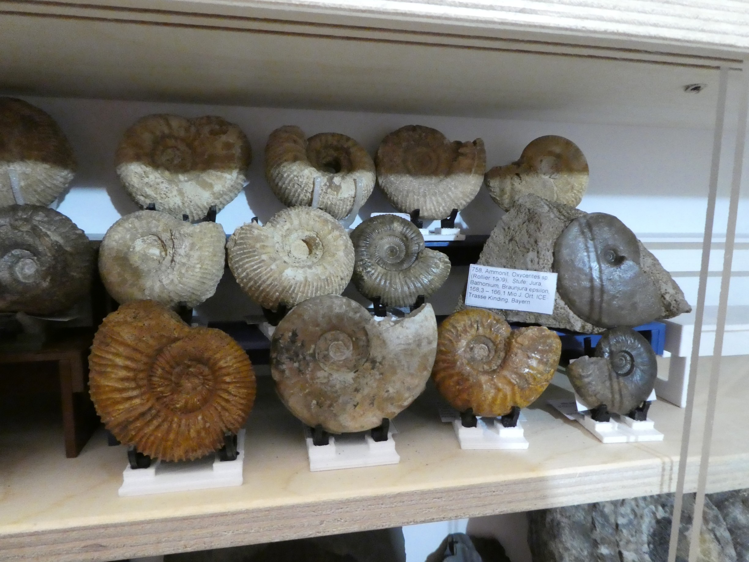 Plug-in display for small objects / fossils