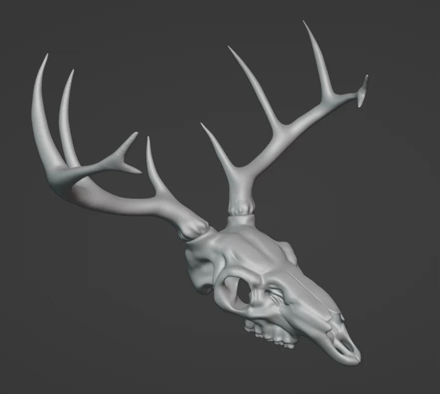 DEER SKULL