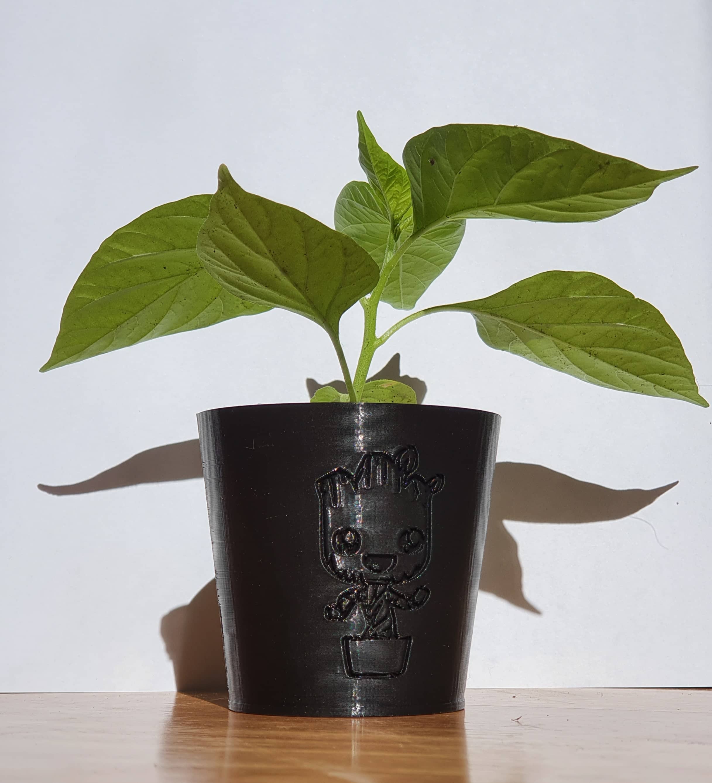 Planter Mini Groot