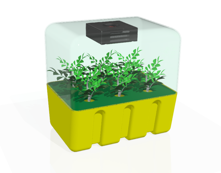 Hydroponic box