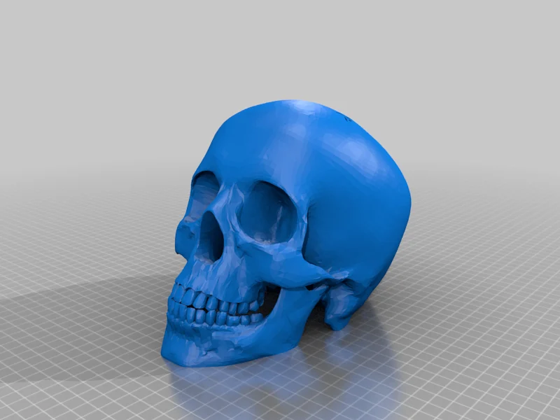 Skull Shifter Knob