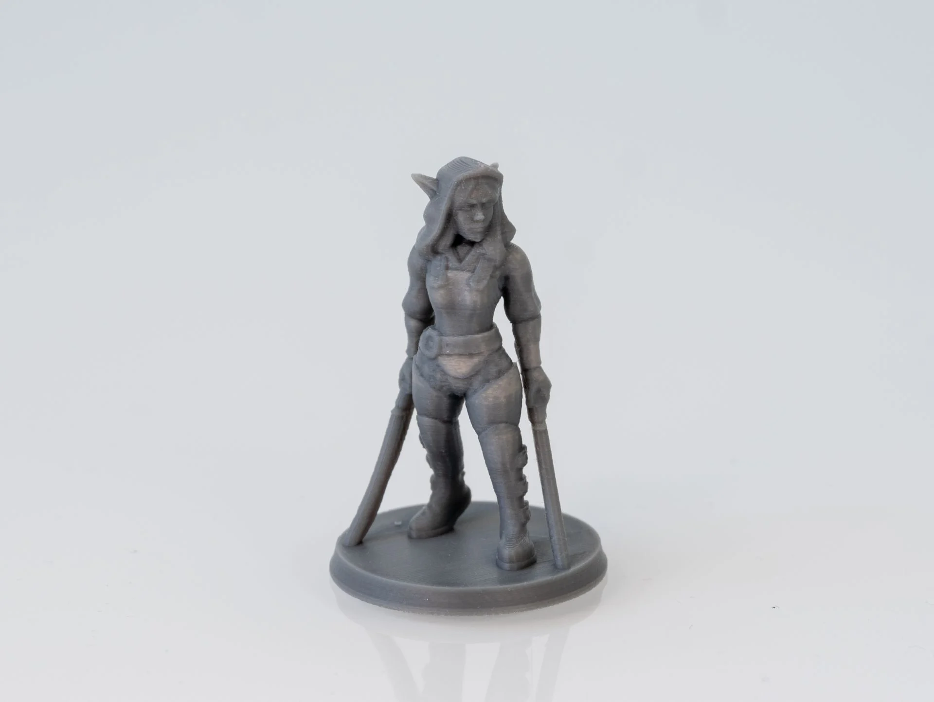 Shi'nae, Elf Dual-Wielding Rogue (Supportless)