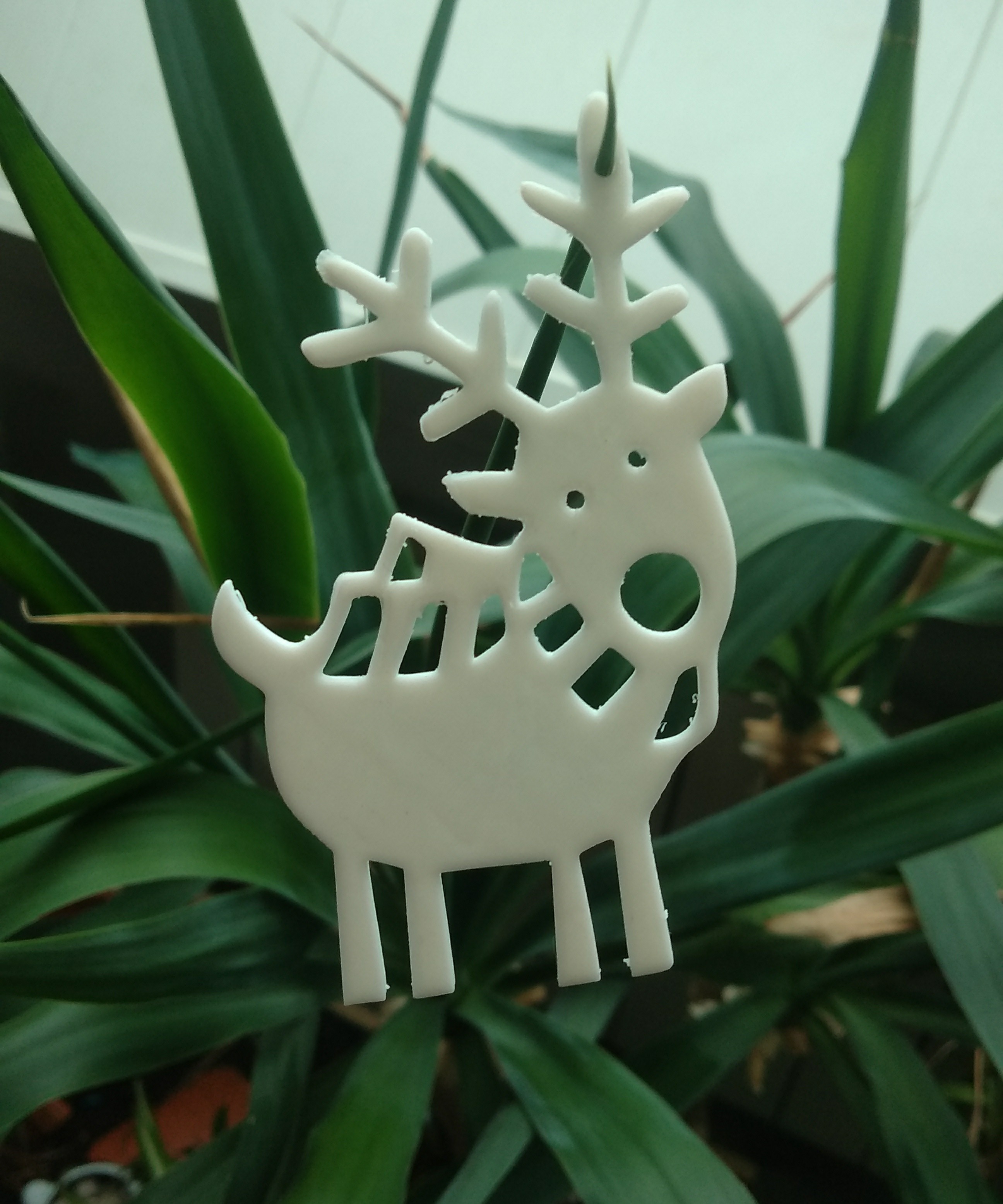 Renne noël