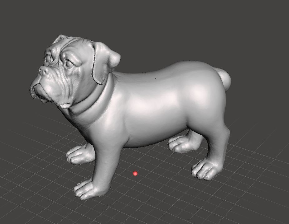 Dog scan Chien