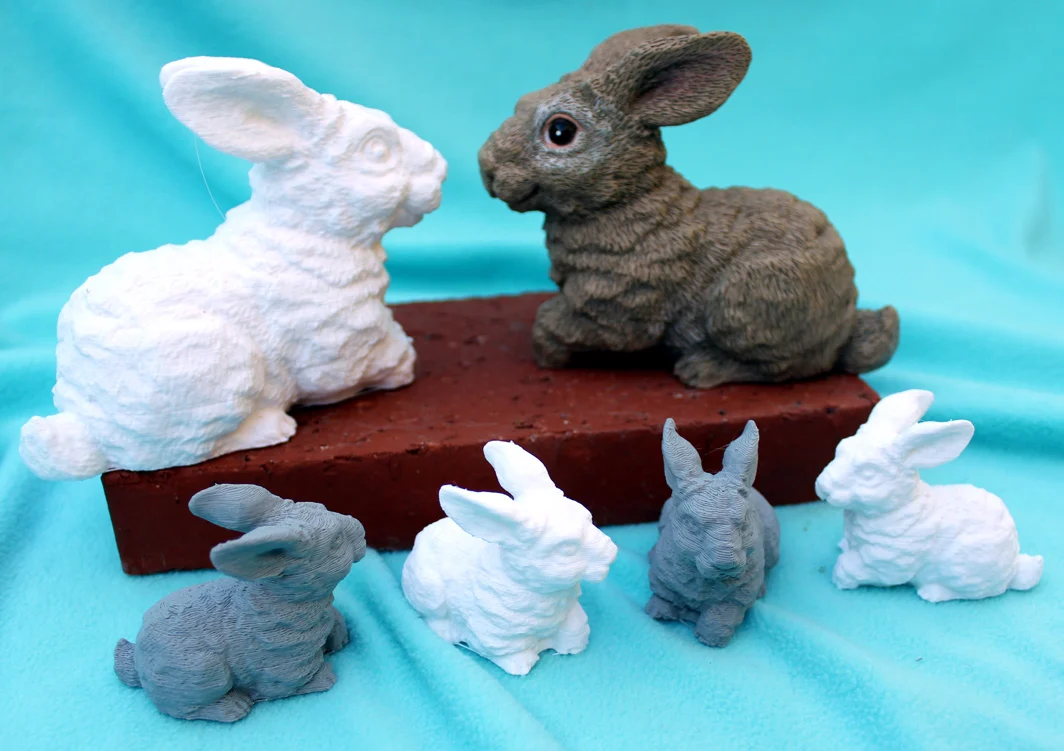 Leveret - Young Artic Hare