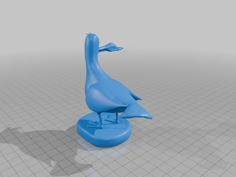 Masshole Seagull