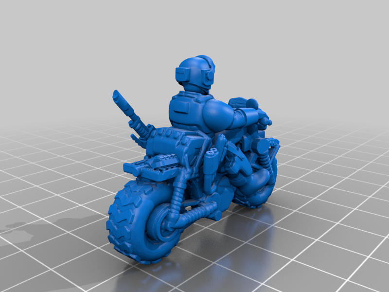 Rough Rider With Wargear