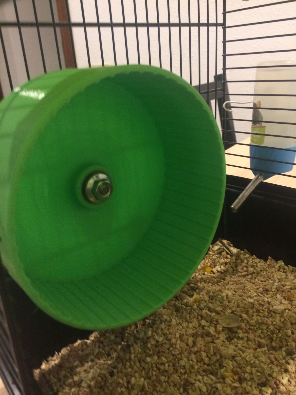 Evee's hamster wheel