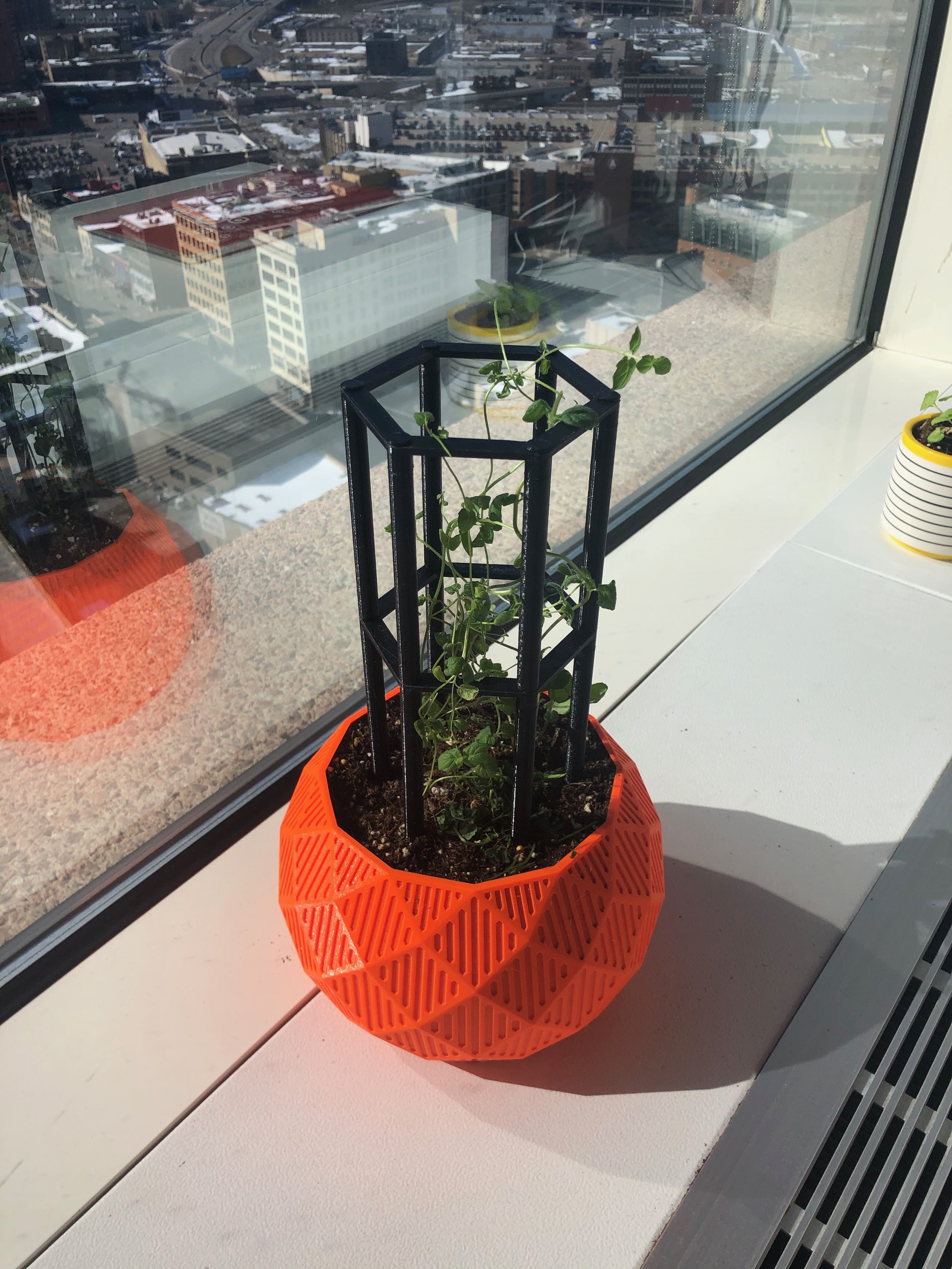 Modular trellis / lattice / plant support