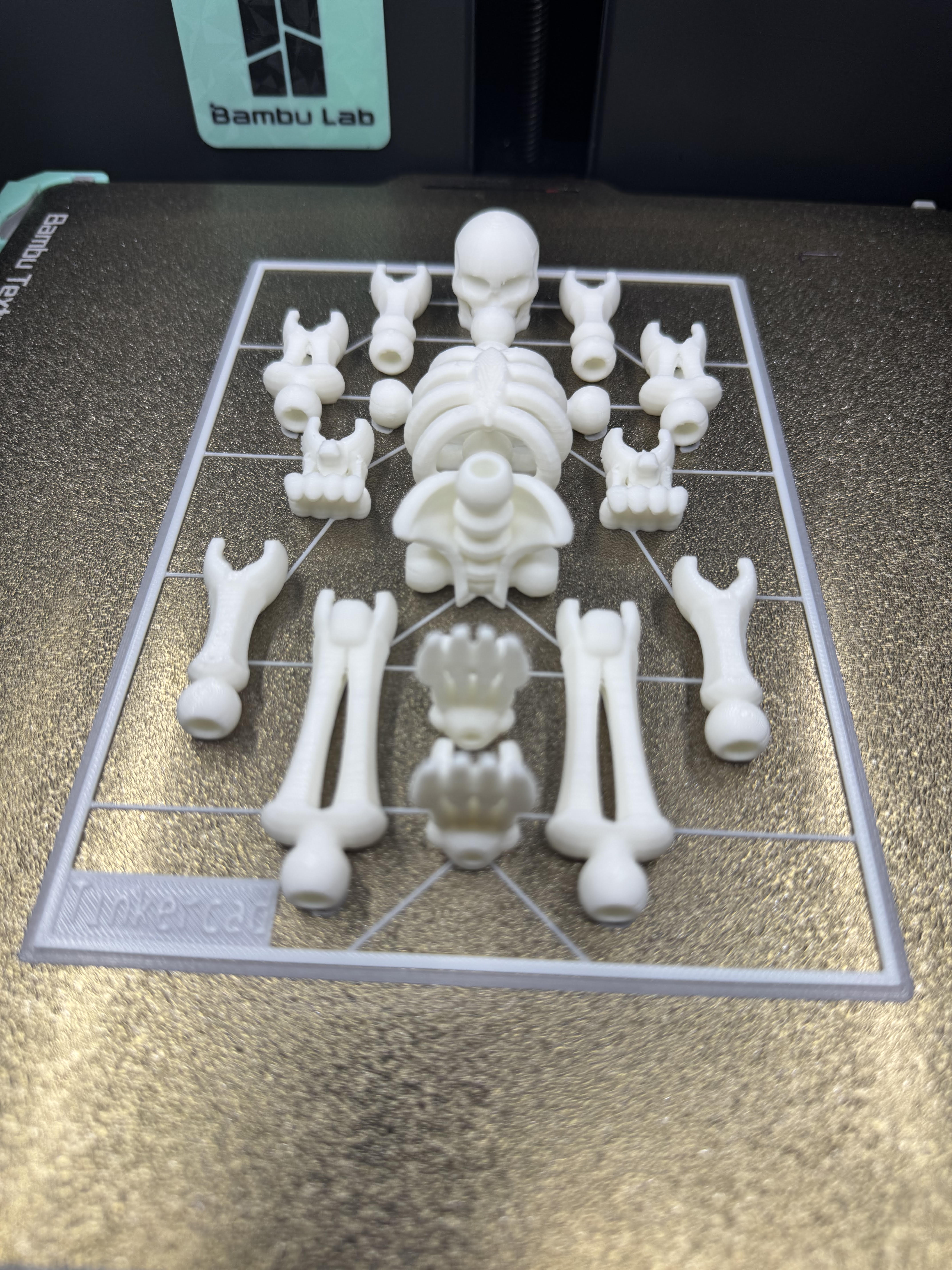 Skeleton Kit Card-Tinkercad