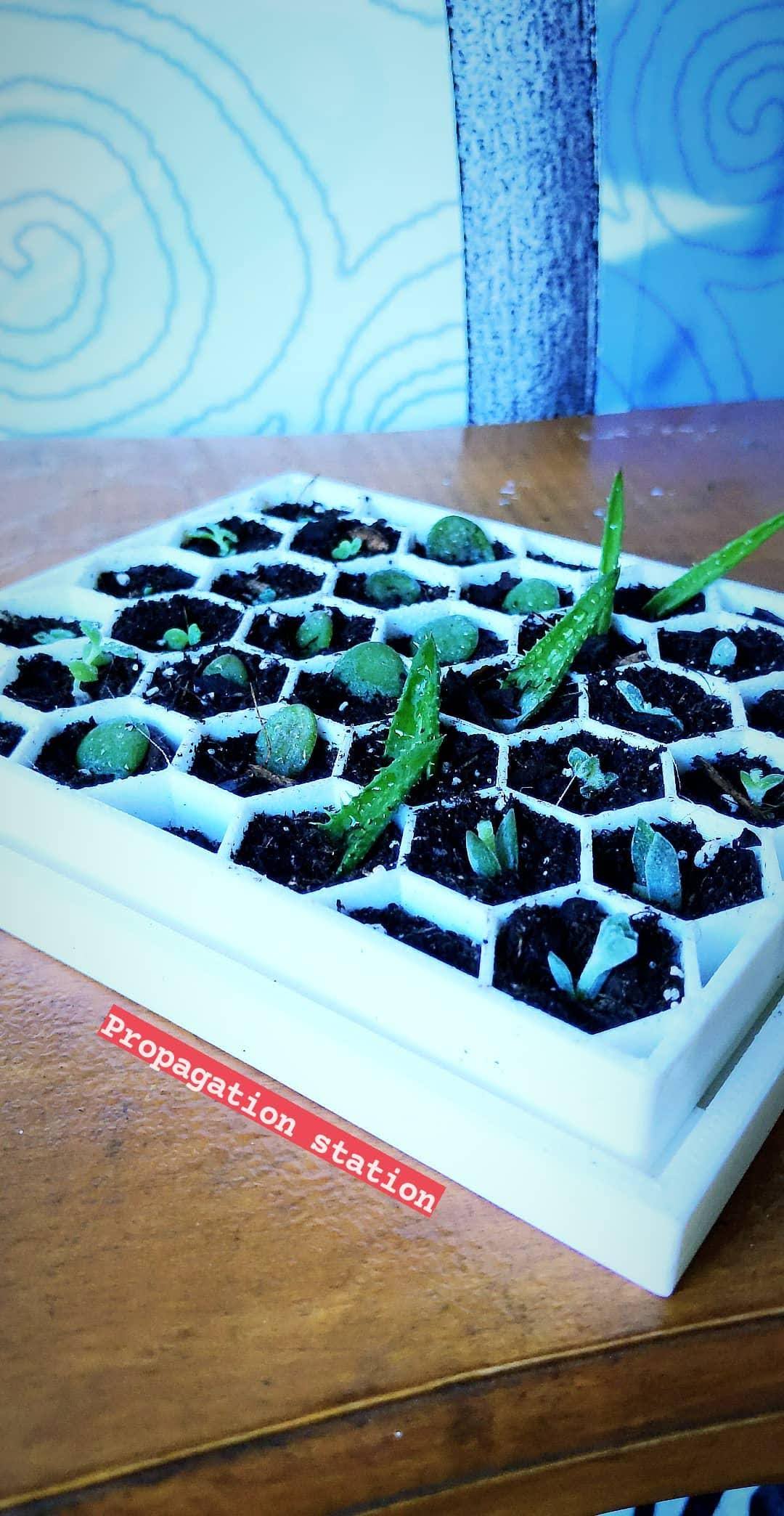 Drip catcher for hexagonal propagation tray