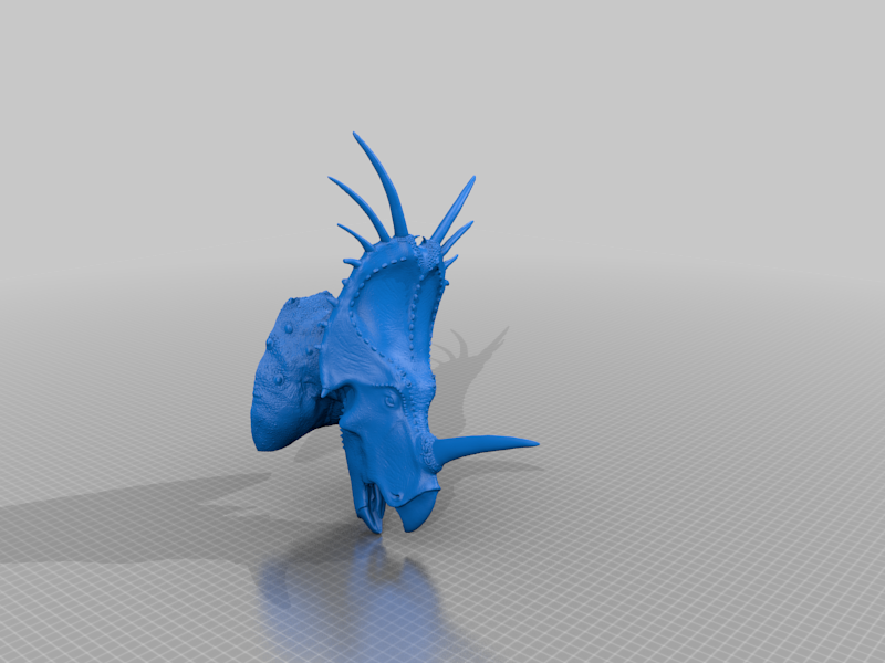 Styracosaurus Albertensis Bust