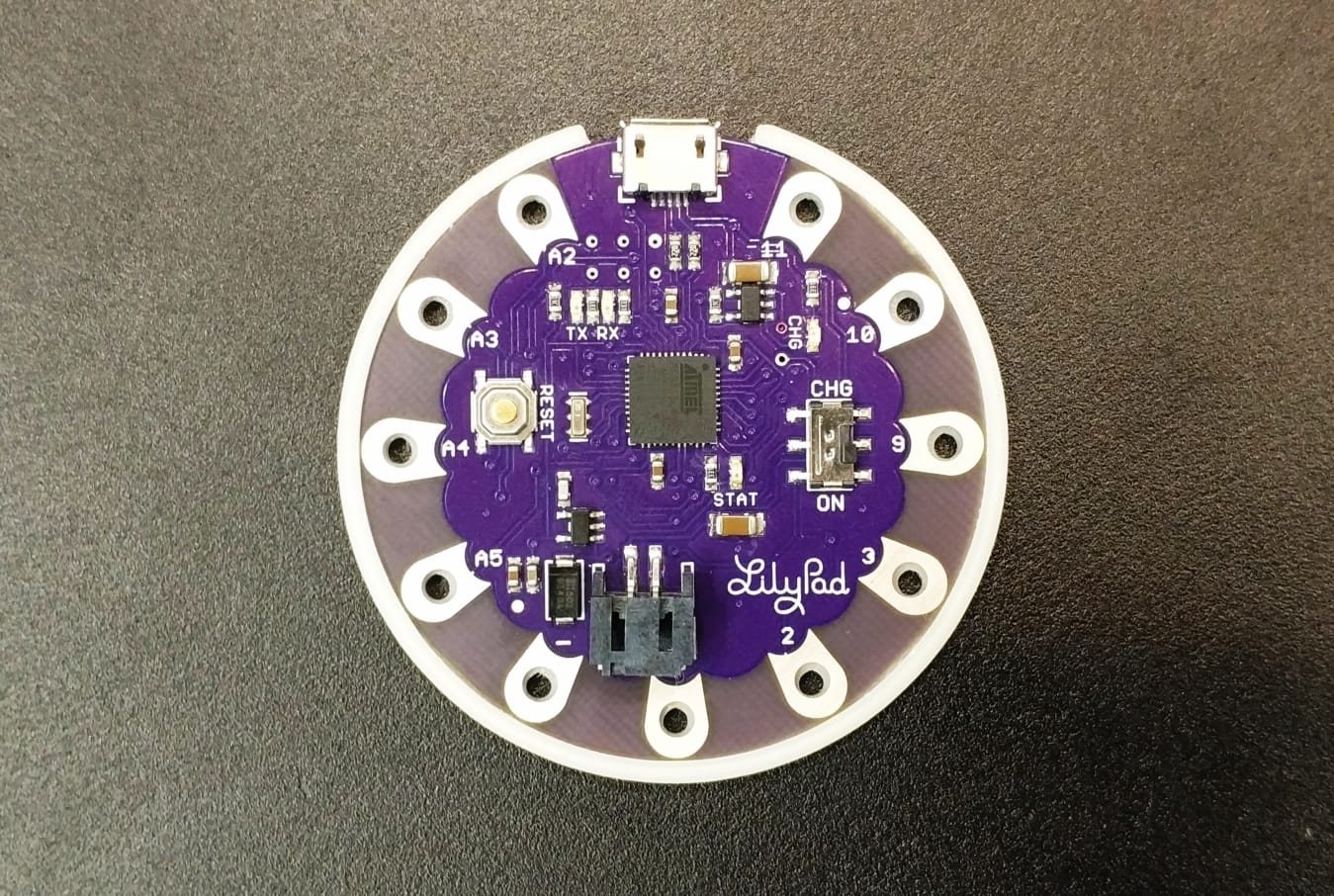 Lilypad Bumper