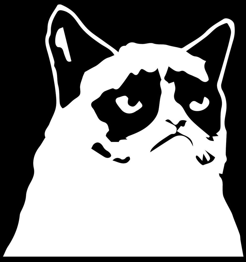 GRUMPY CAT 2D