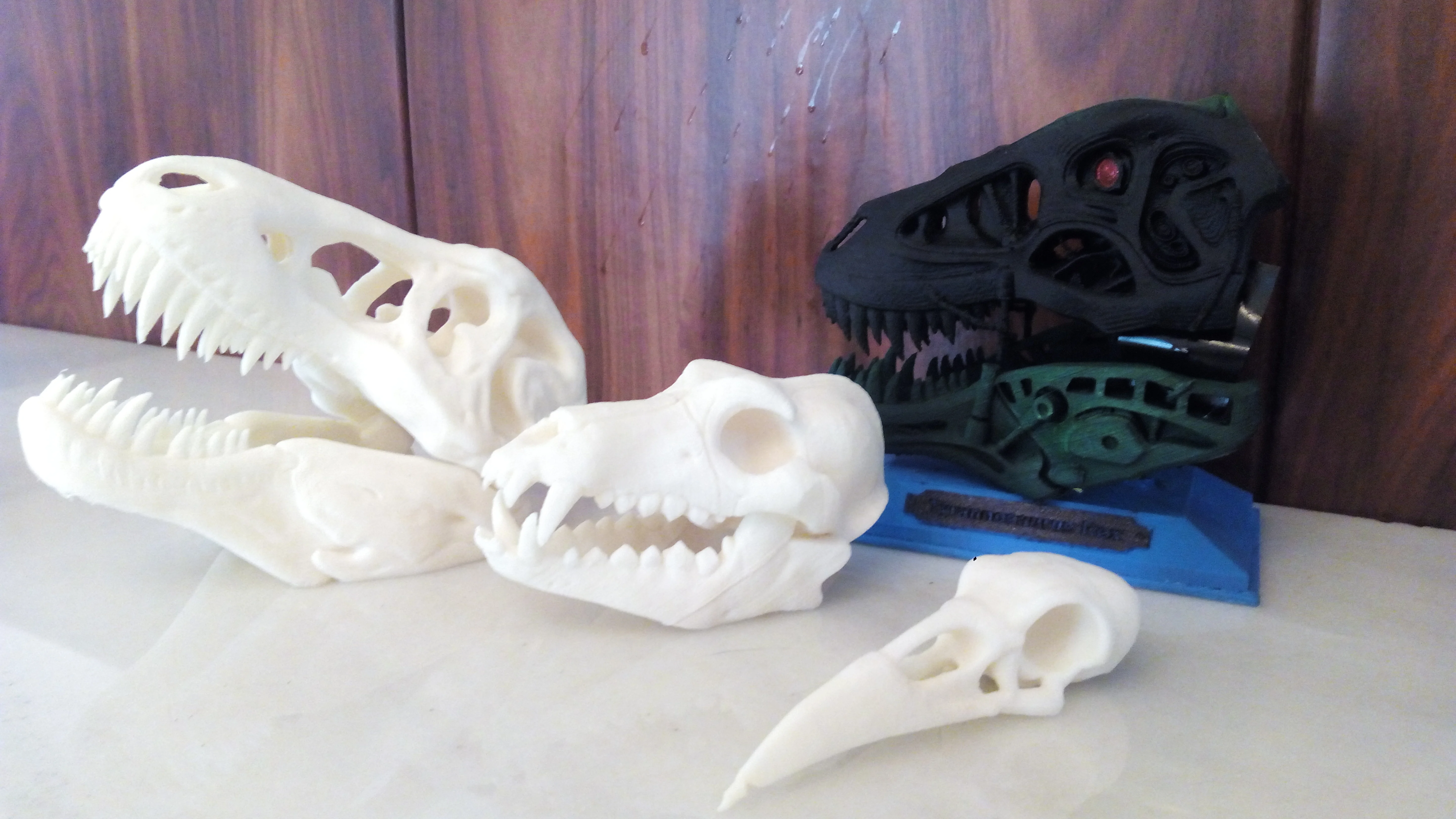 skulls