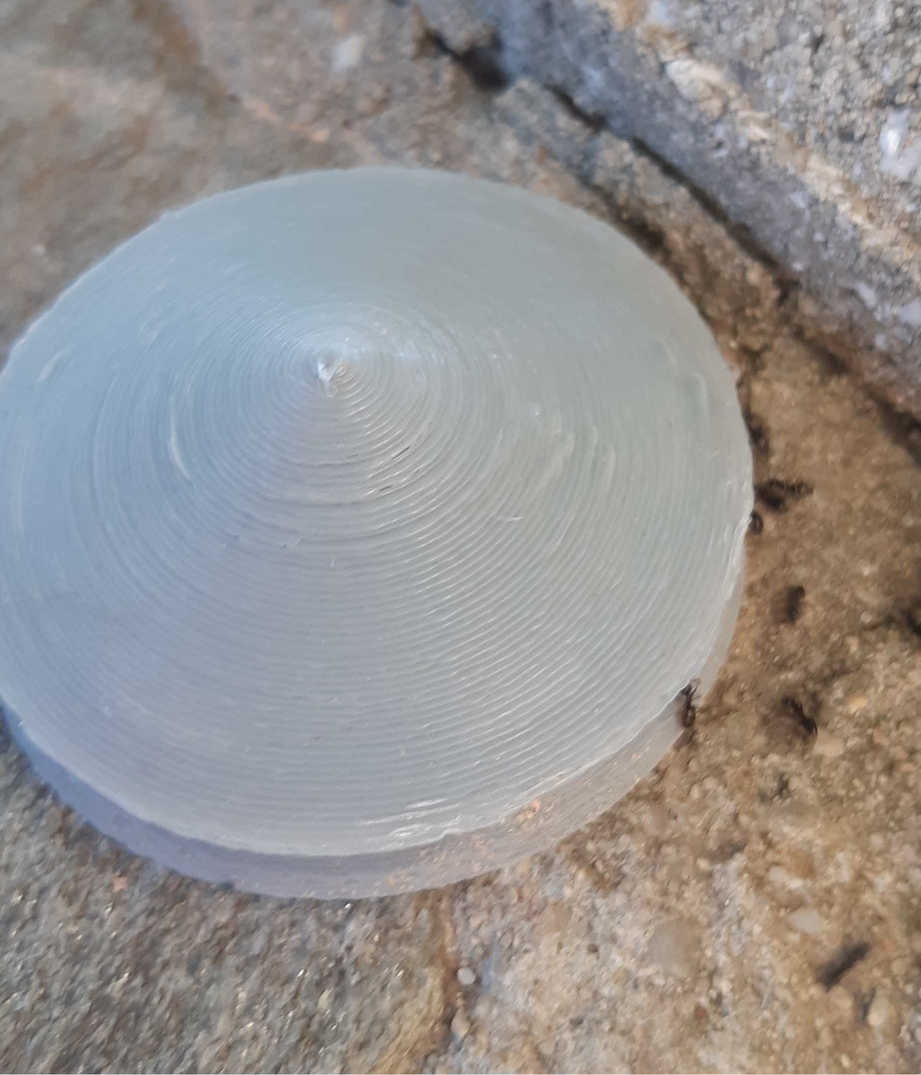 Piège à fourmis