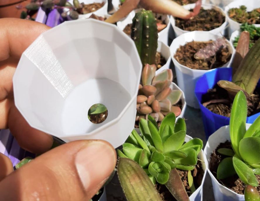 small vase pot for cacti and succulents
