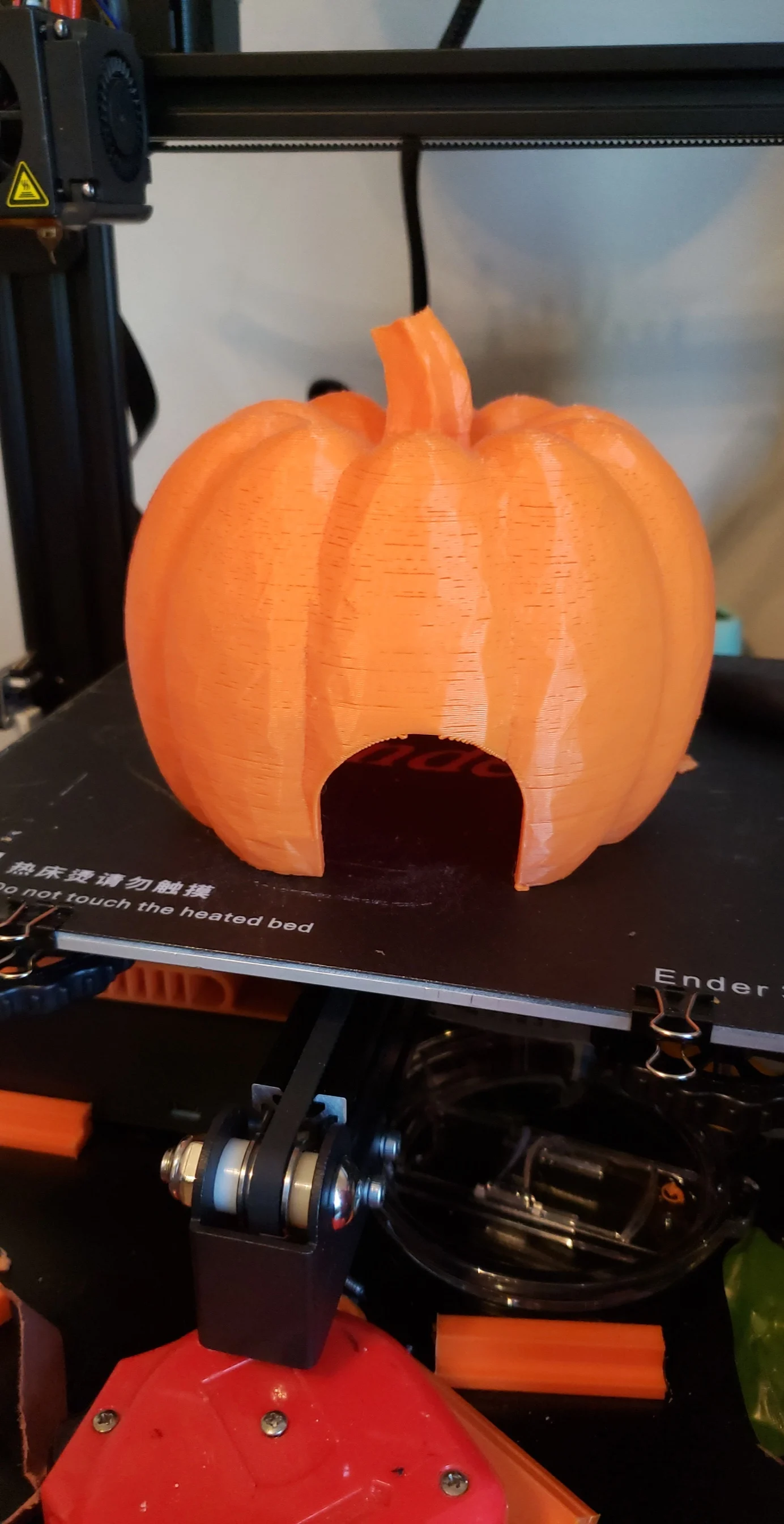 pumpkin reptile hide