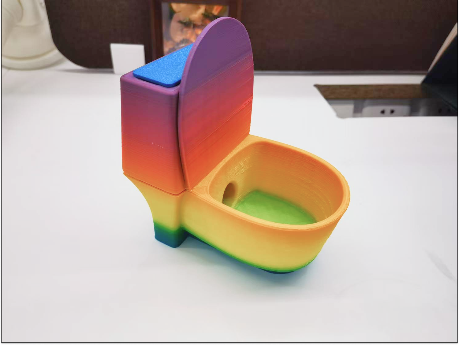 tollet cat bowl