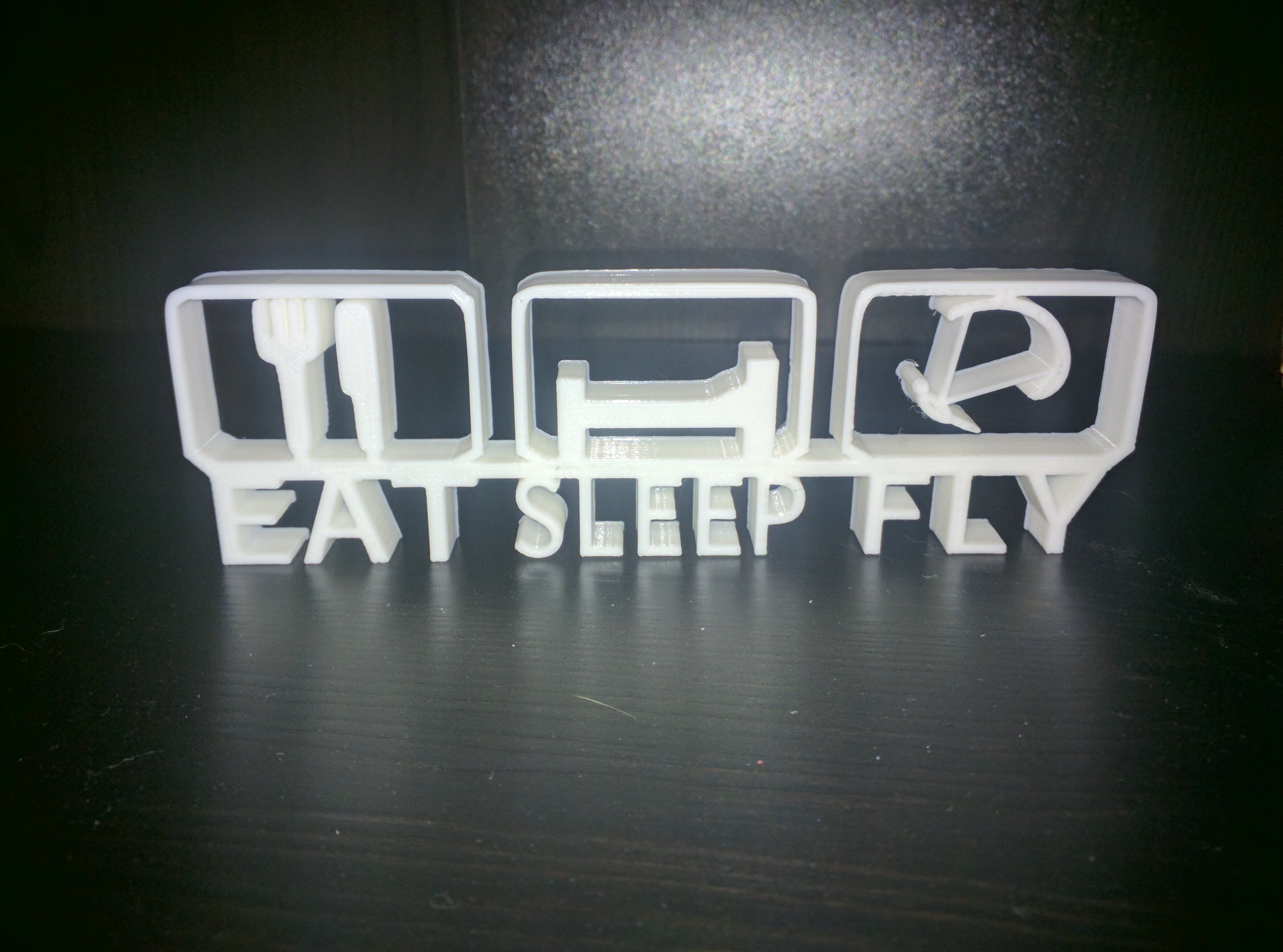 Eat Sleep Fly