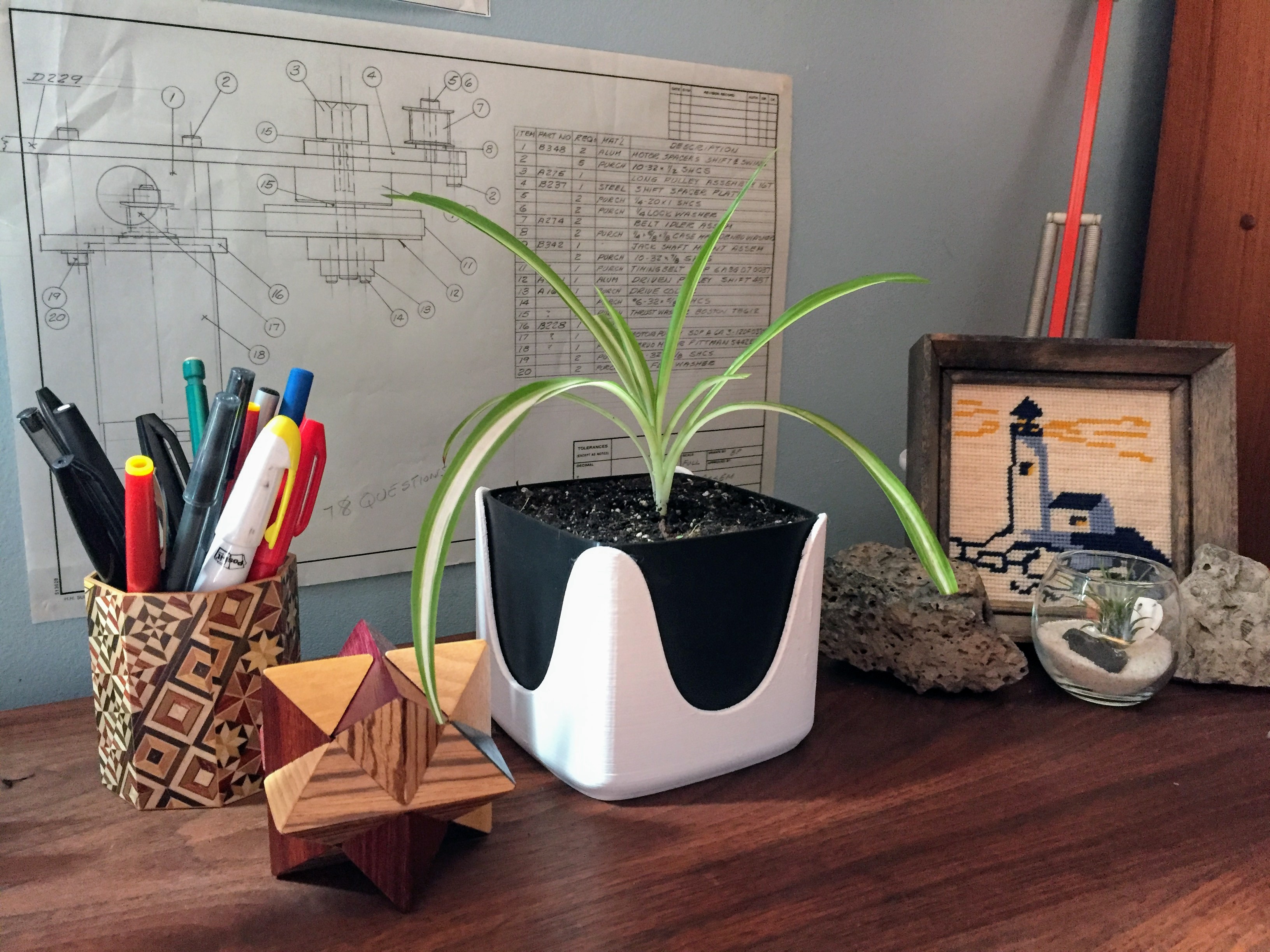 The Wise Planter