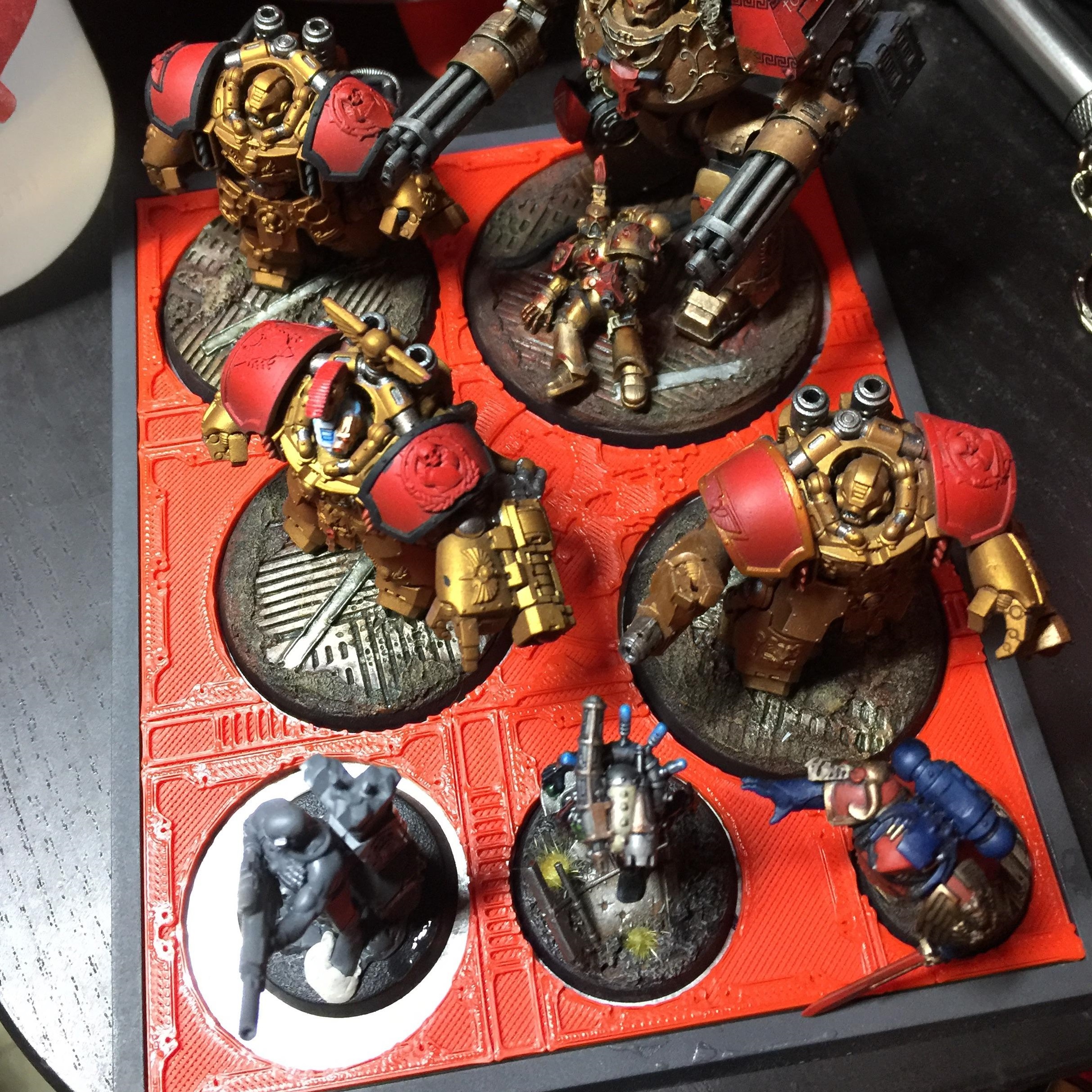 ZM Tray Inserts