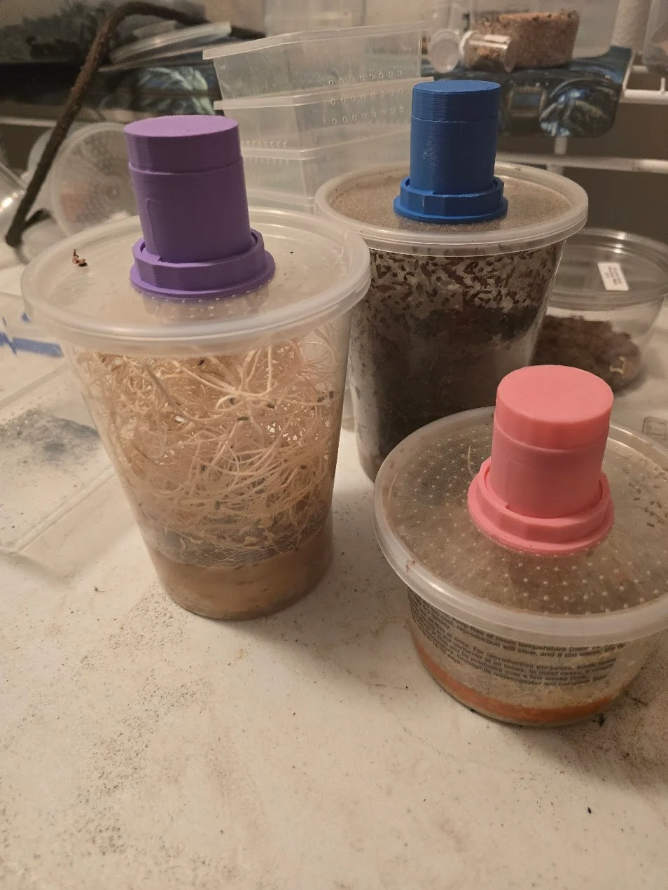 Easy Fruit Fly Bottle Cap Cup Attachment