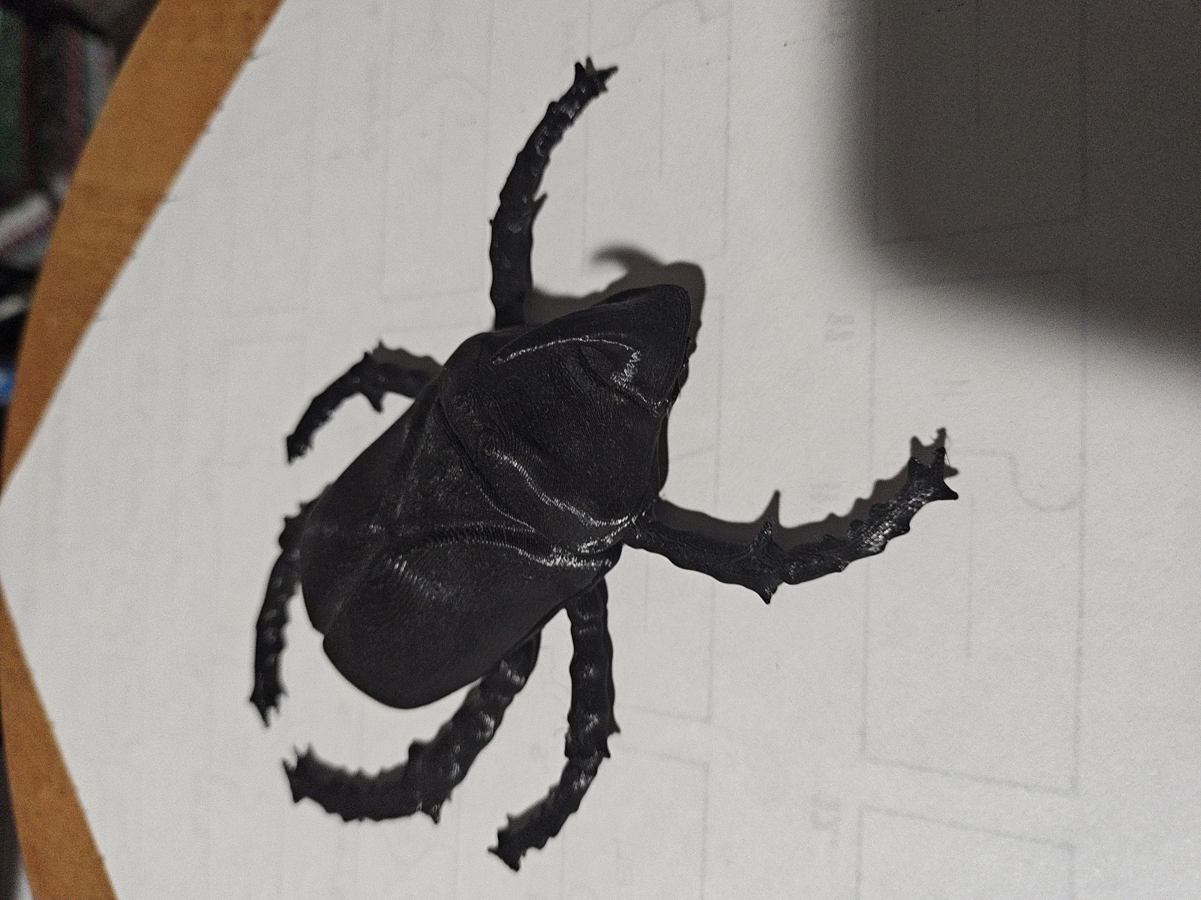 Horned Beetle