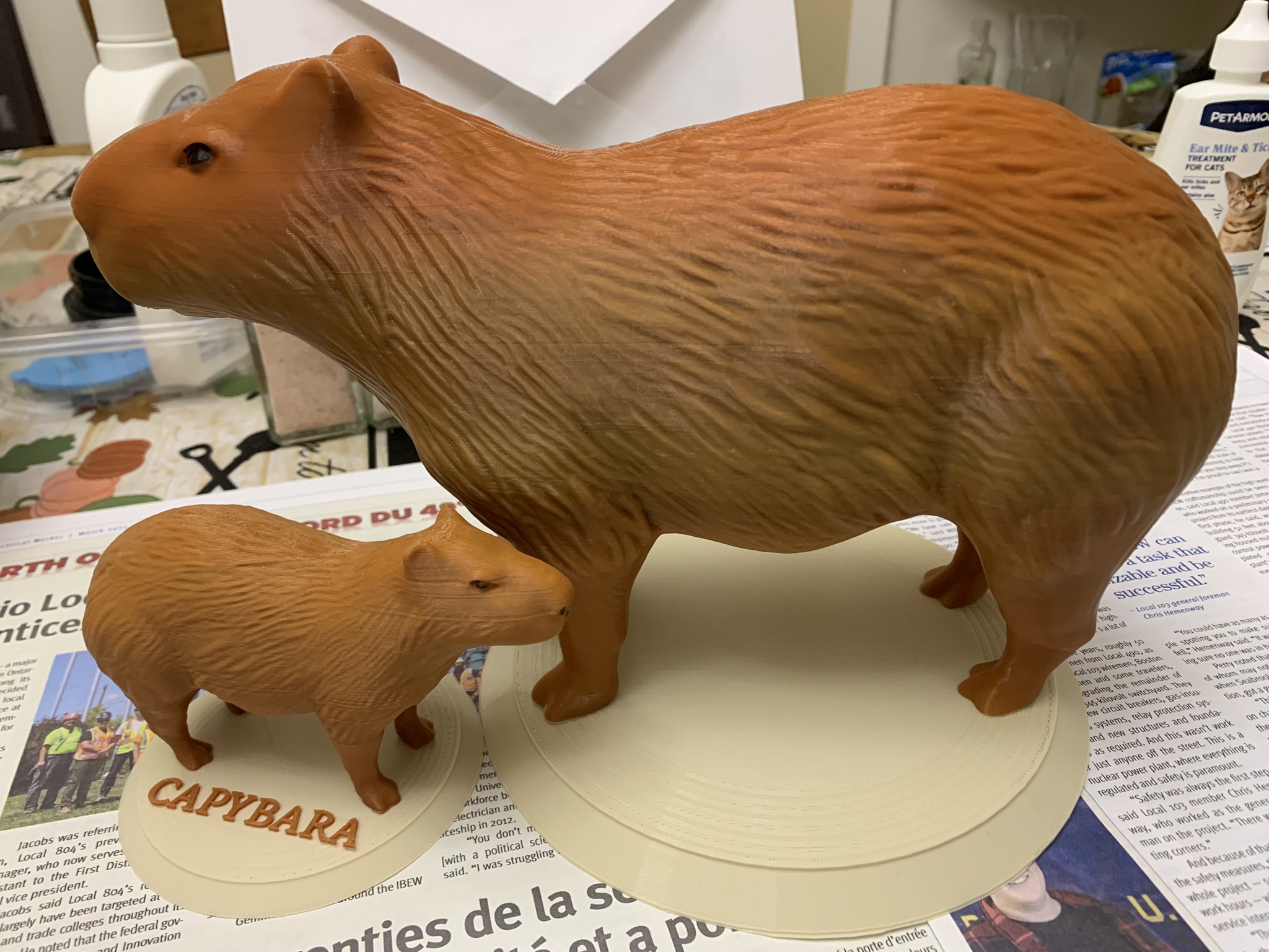 Capybara with base and name
