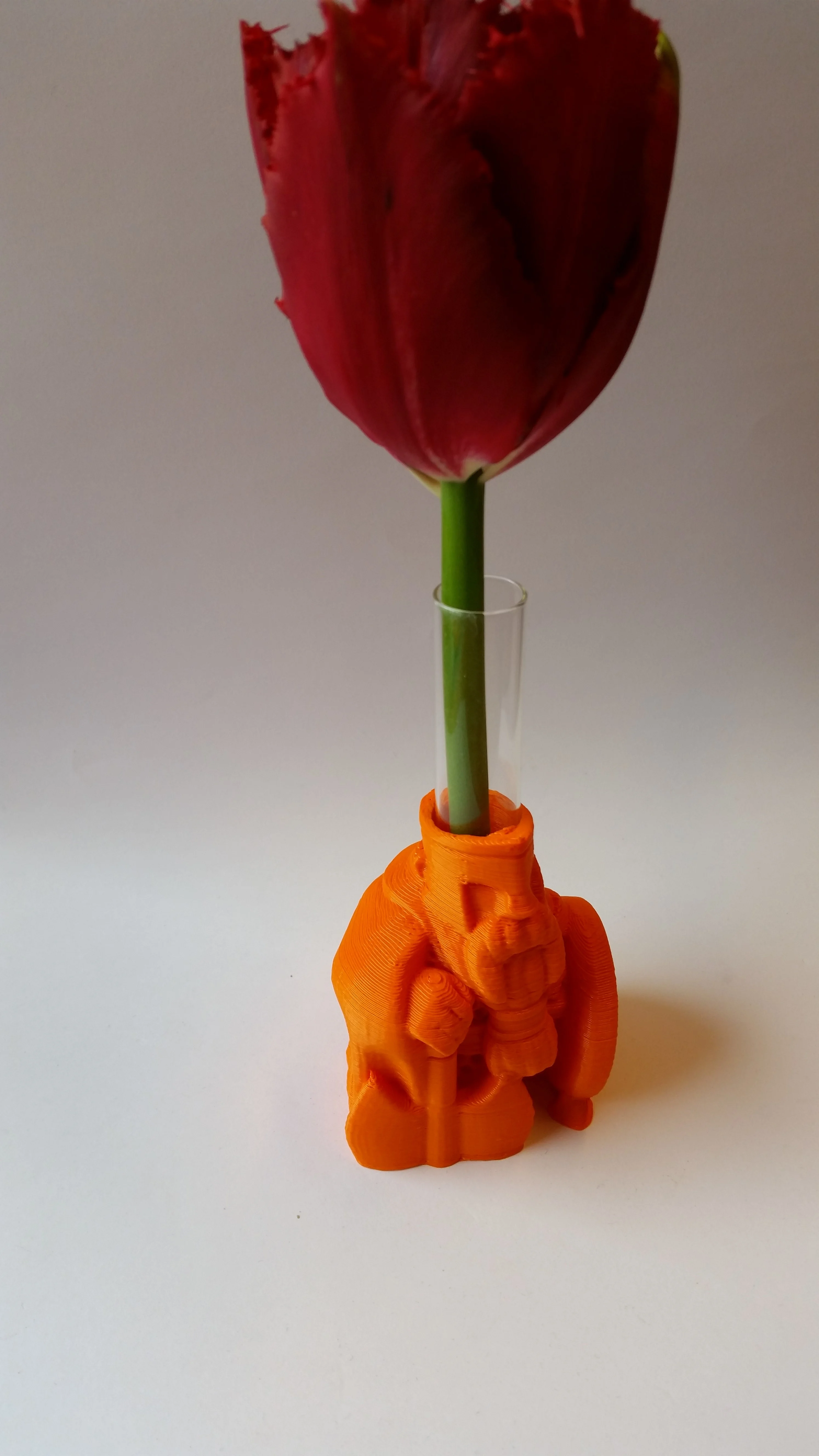 Test tube Remix Vases Schoolproject