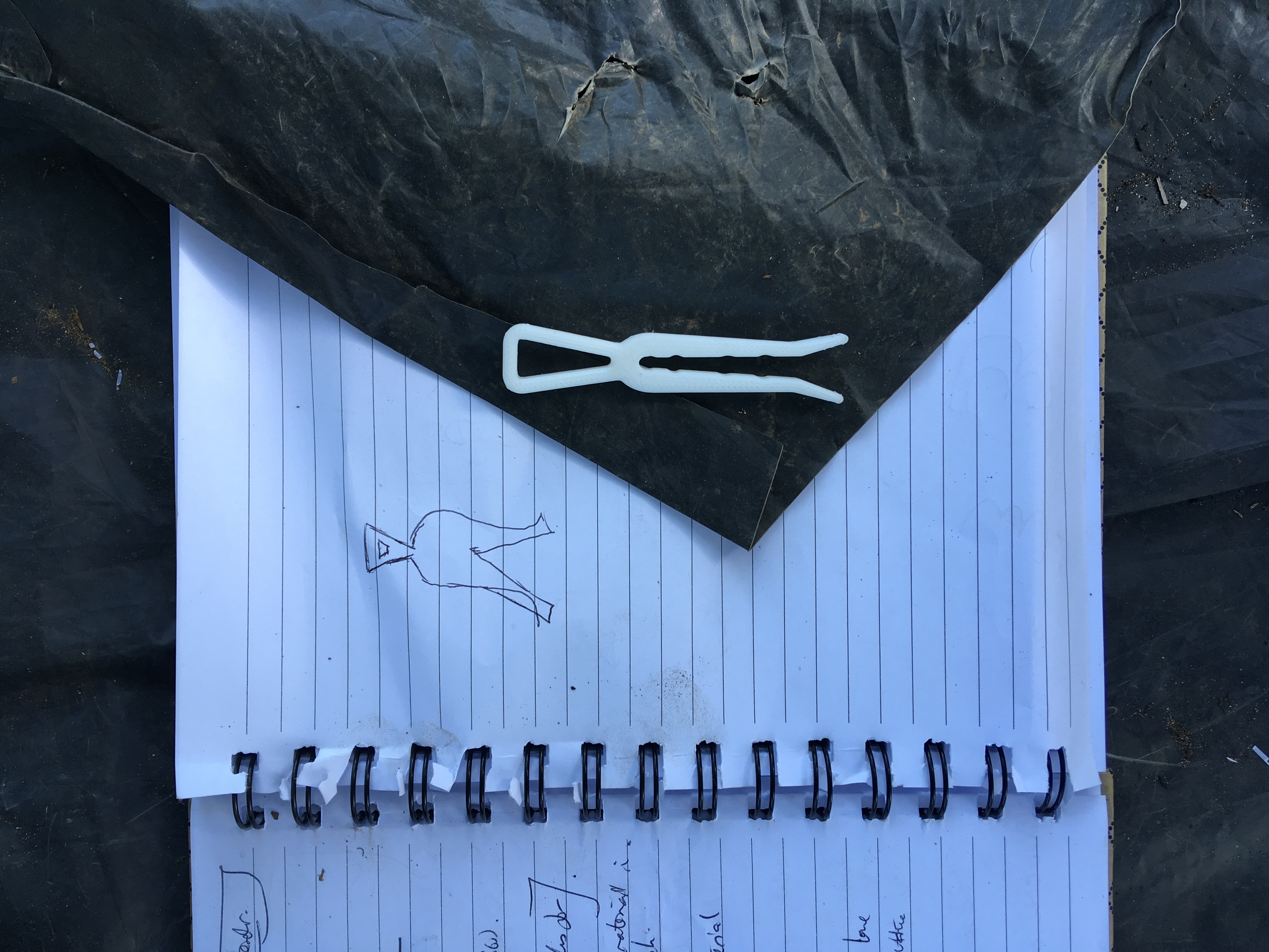 Clothes Peg