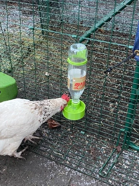 Chicken Water Dispenser with Thread for PET Bottles