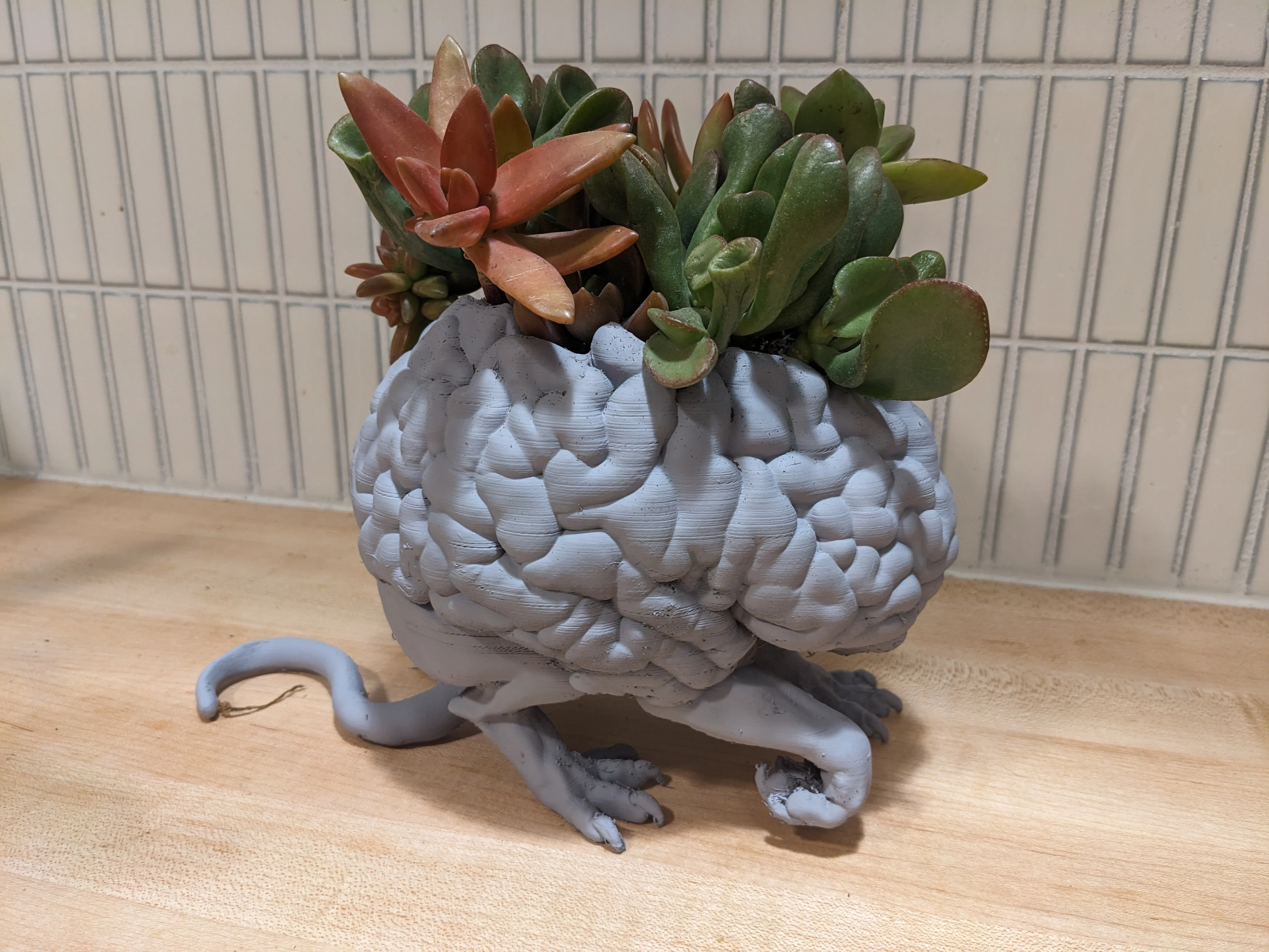 Succulent Devourer - Intellect Devourer Planter