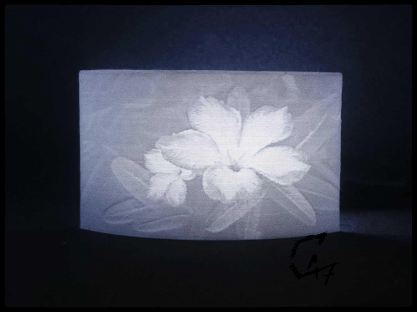 Lithophane Desert Rose v2